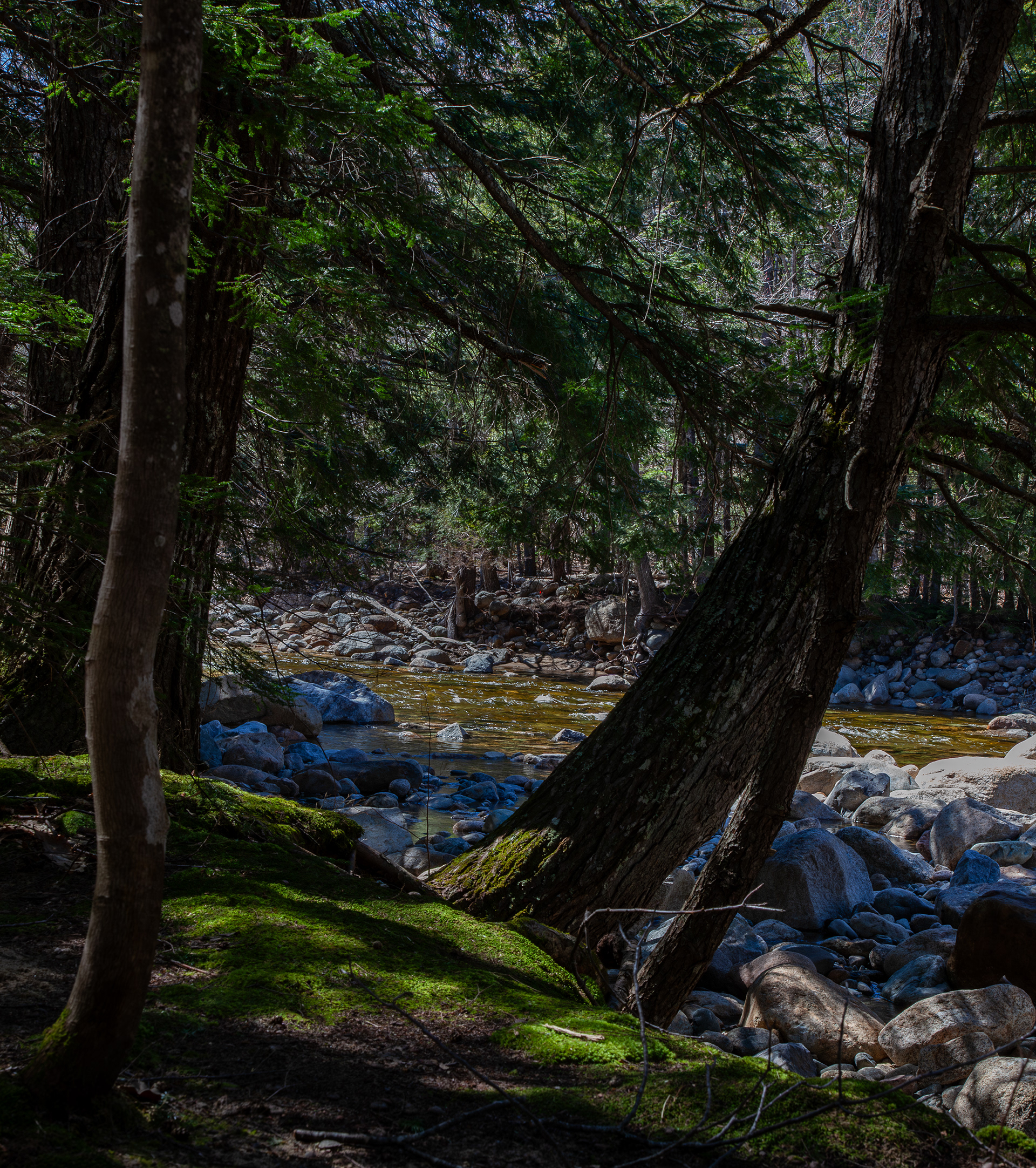 View from Trail at Fourth Iron Campground