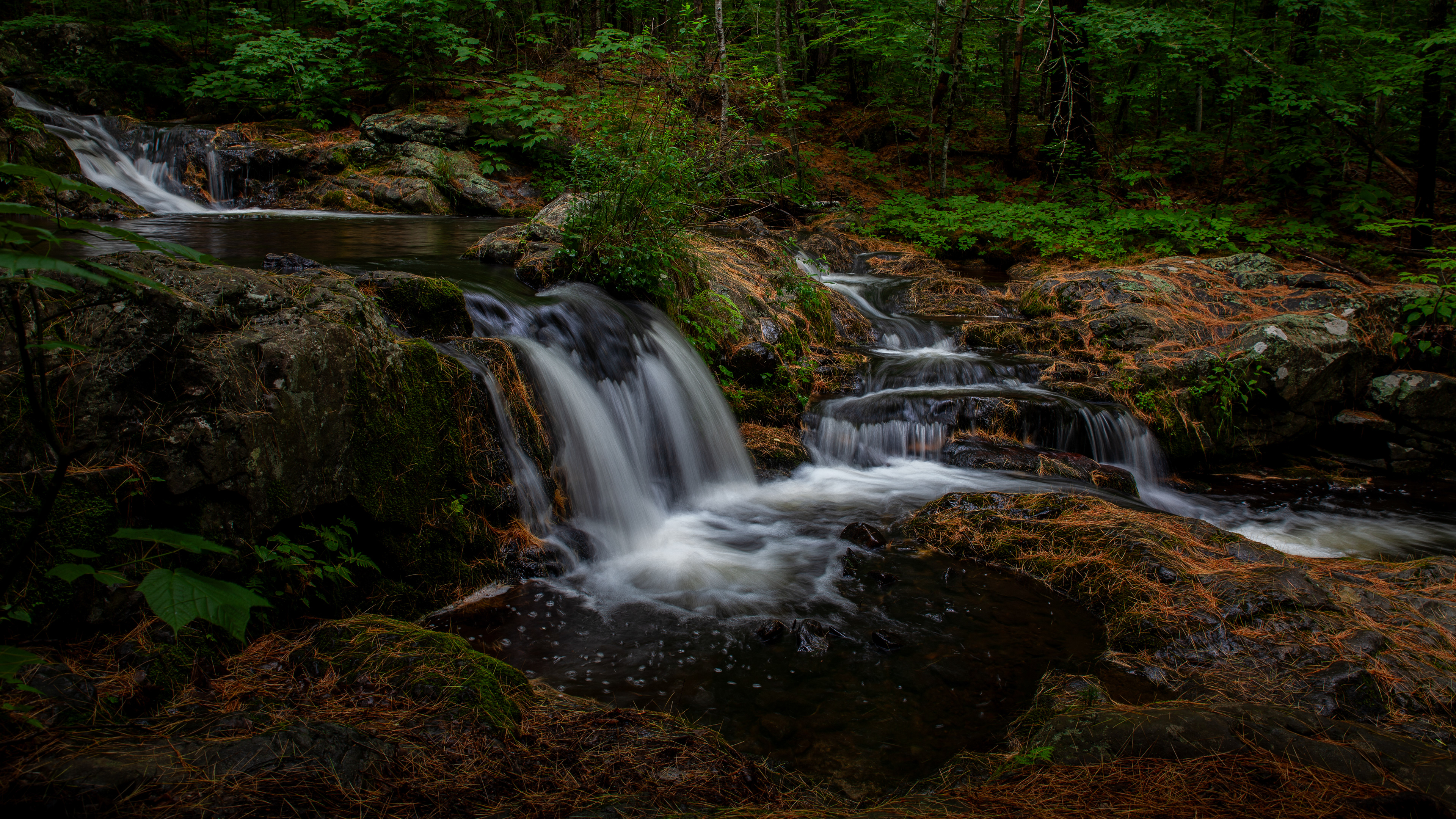 Twin Falls 2024 No2