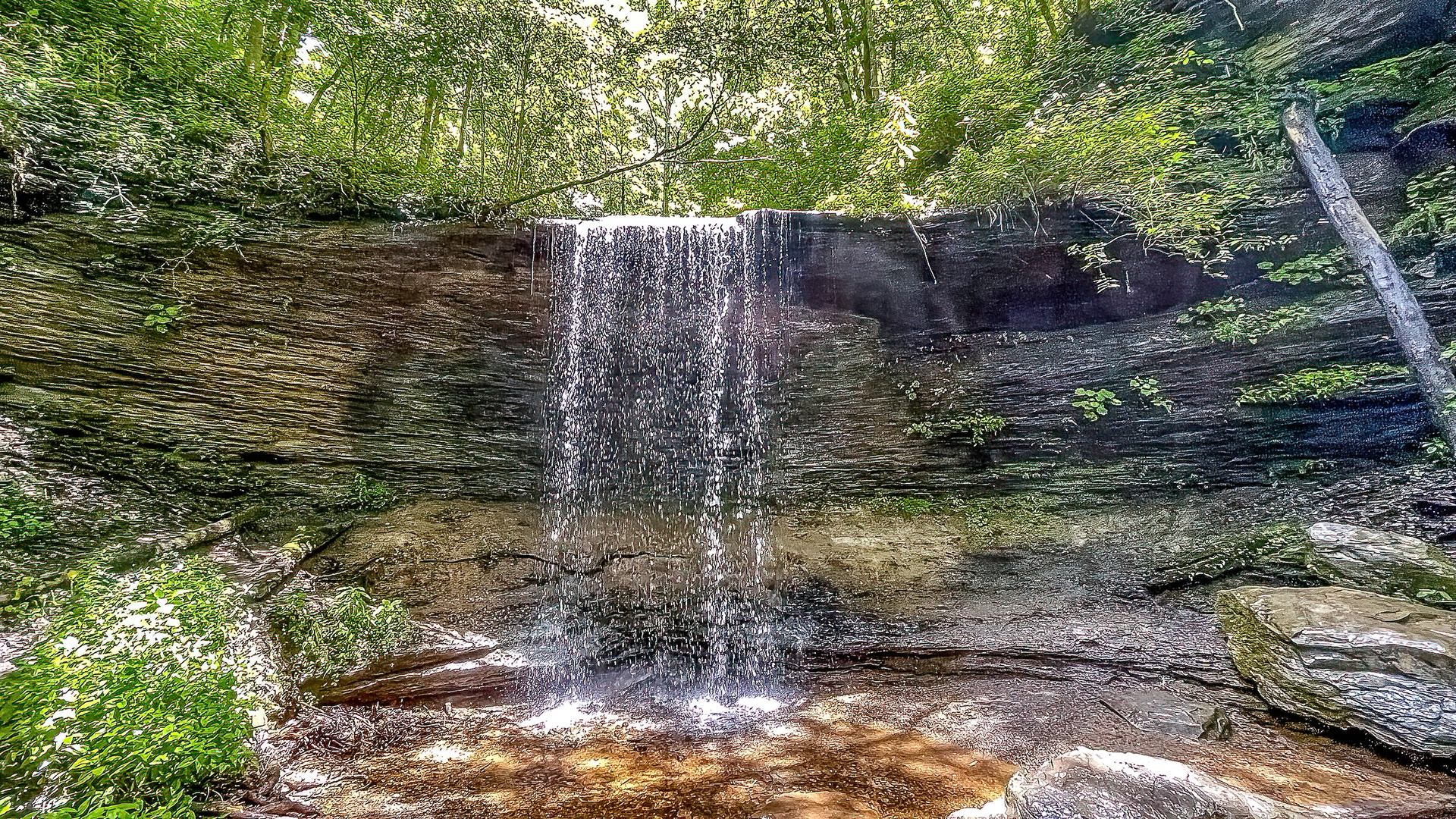 Fall Hollow