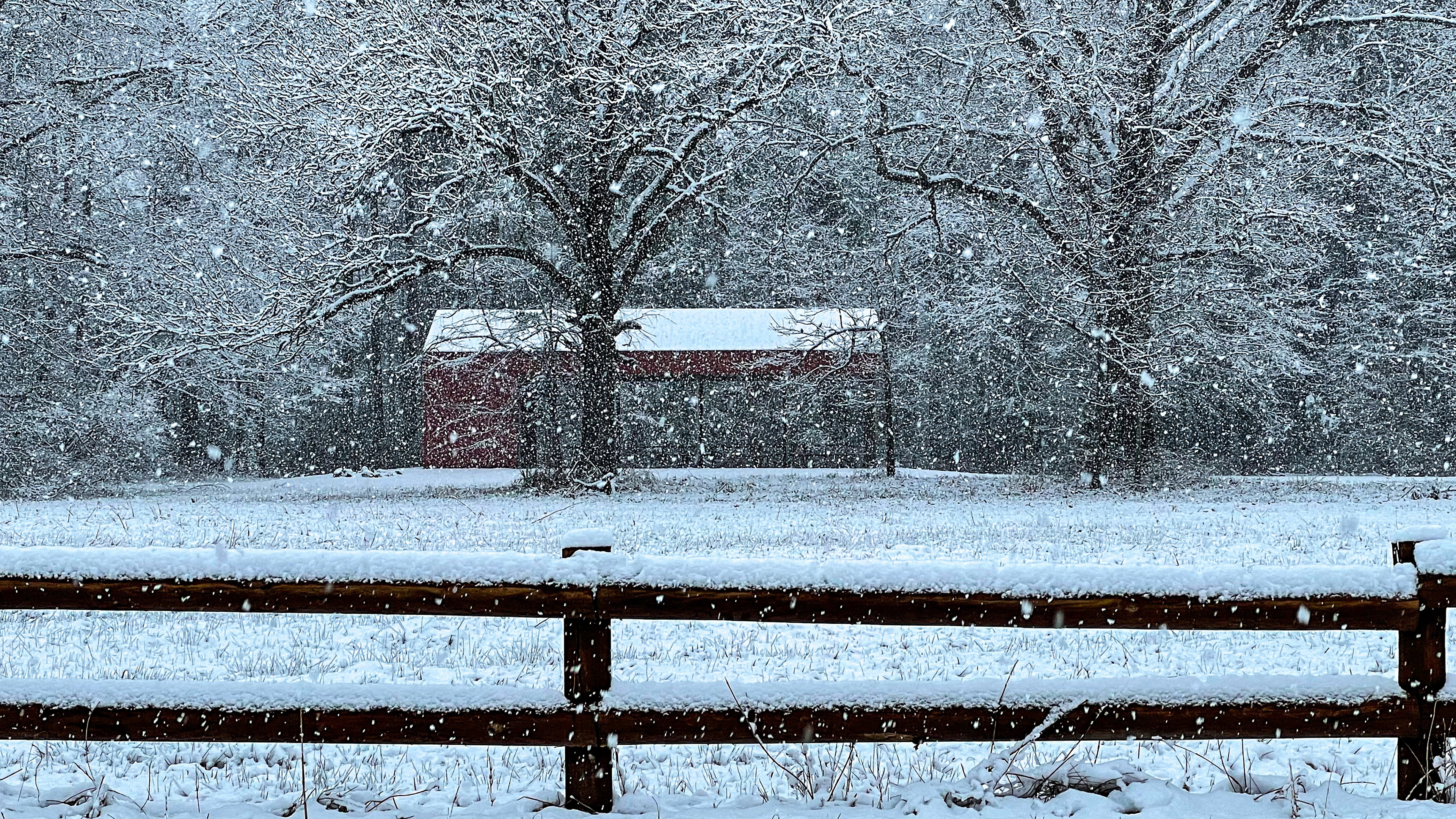 Refuge in rare Ms snow