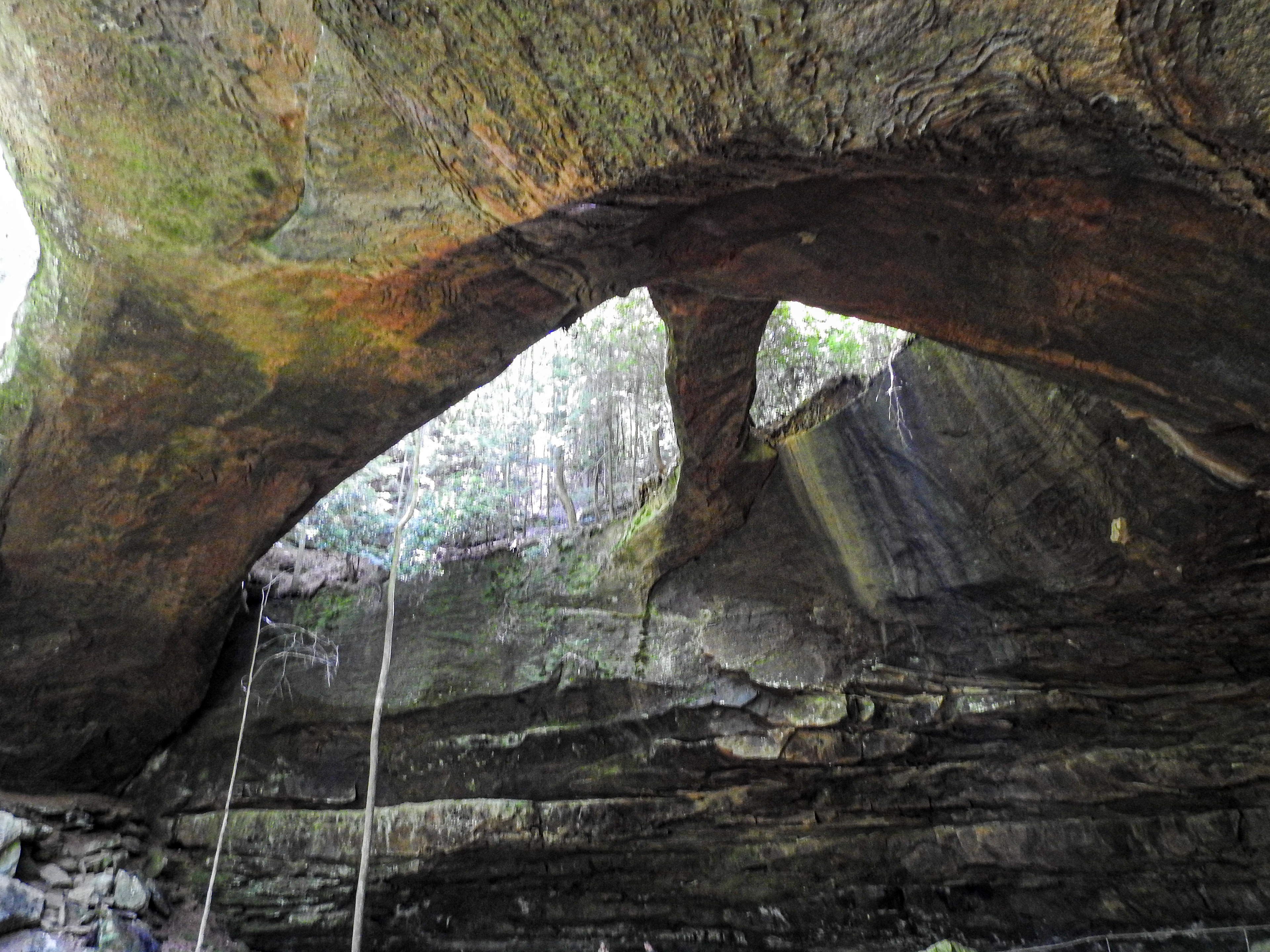 Natural Bridge, Al