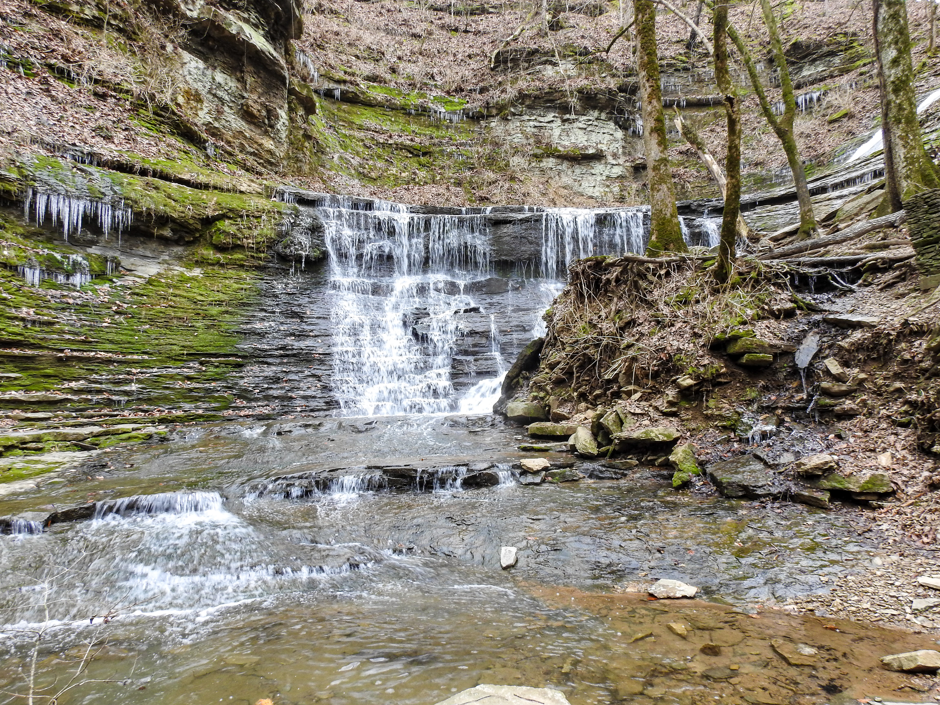 Jackson Falls