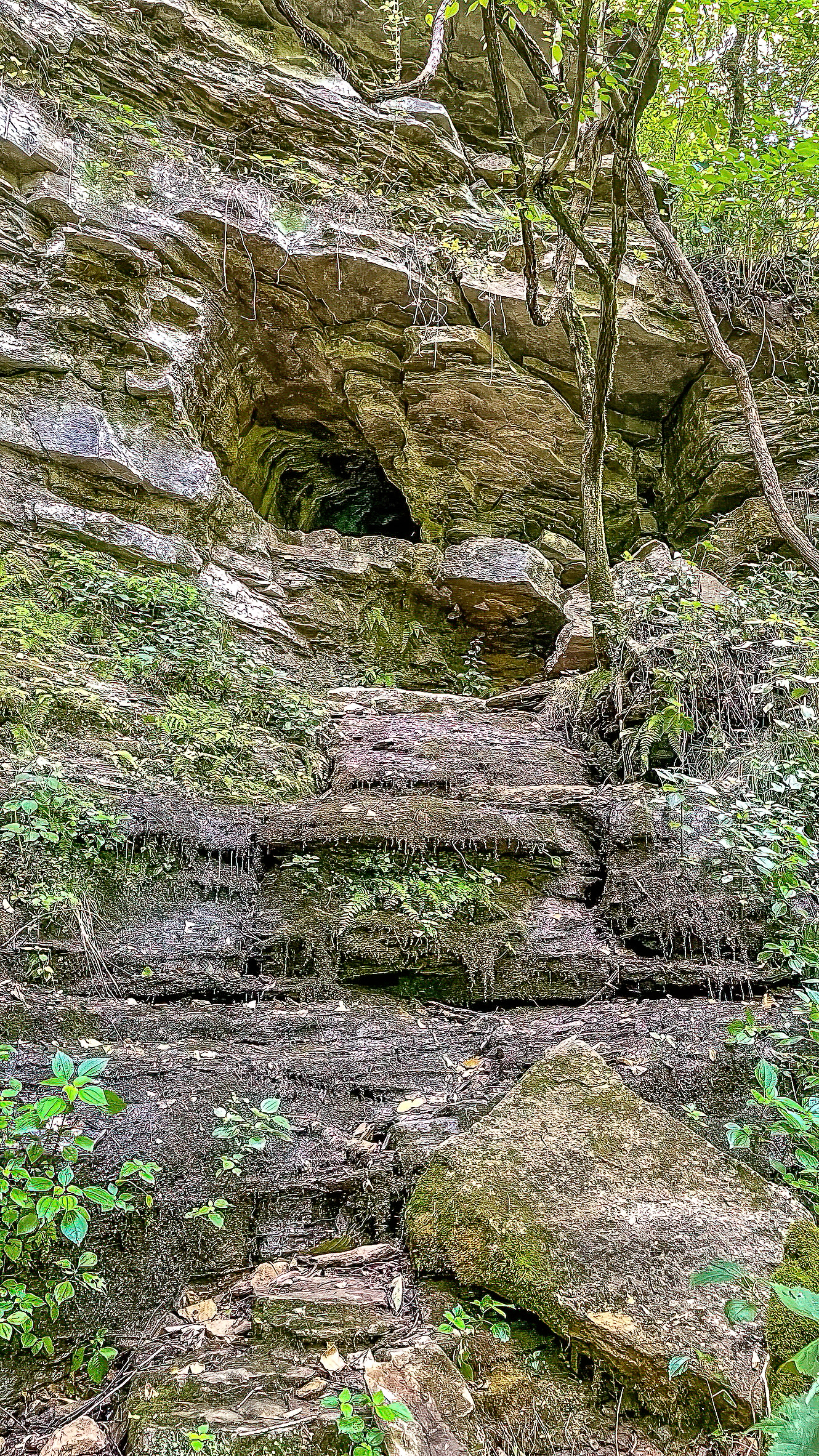 Jackson Falls