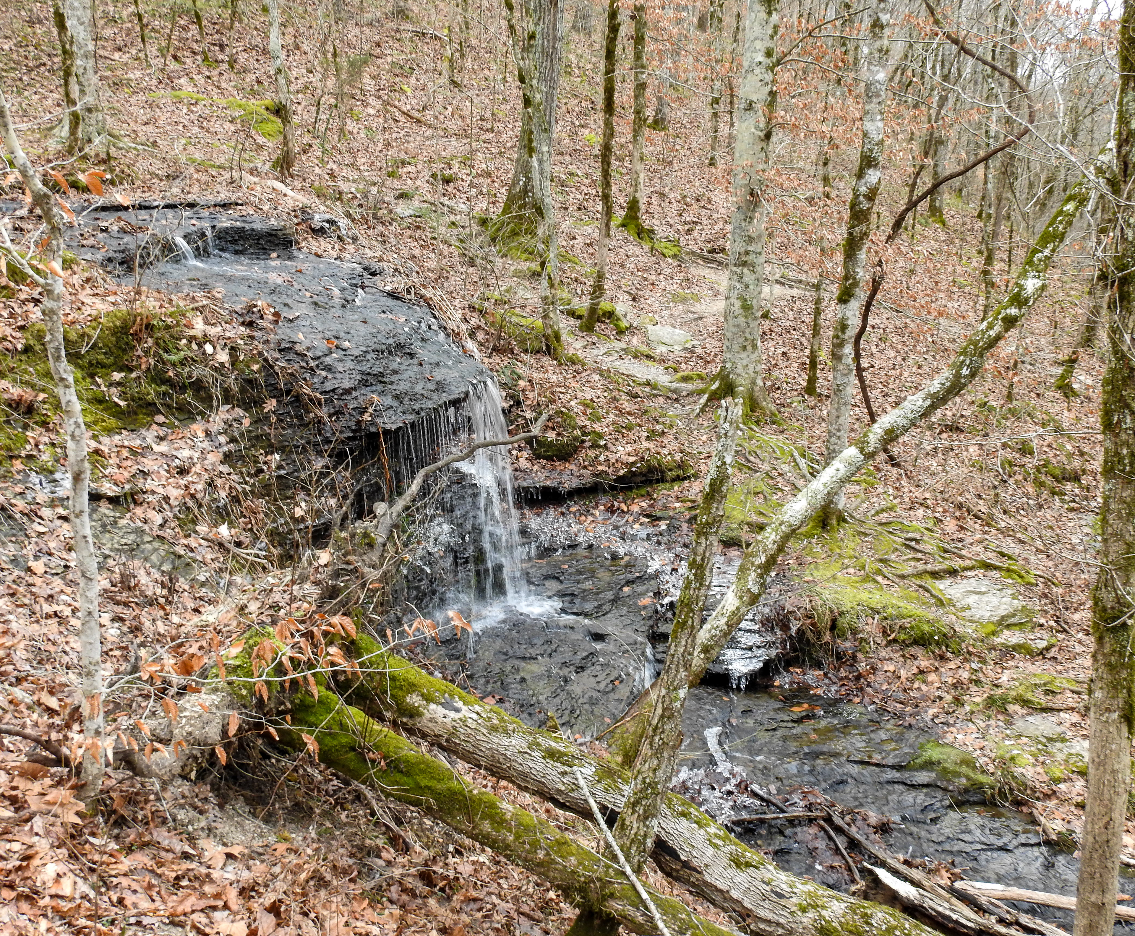 Fall Hollow