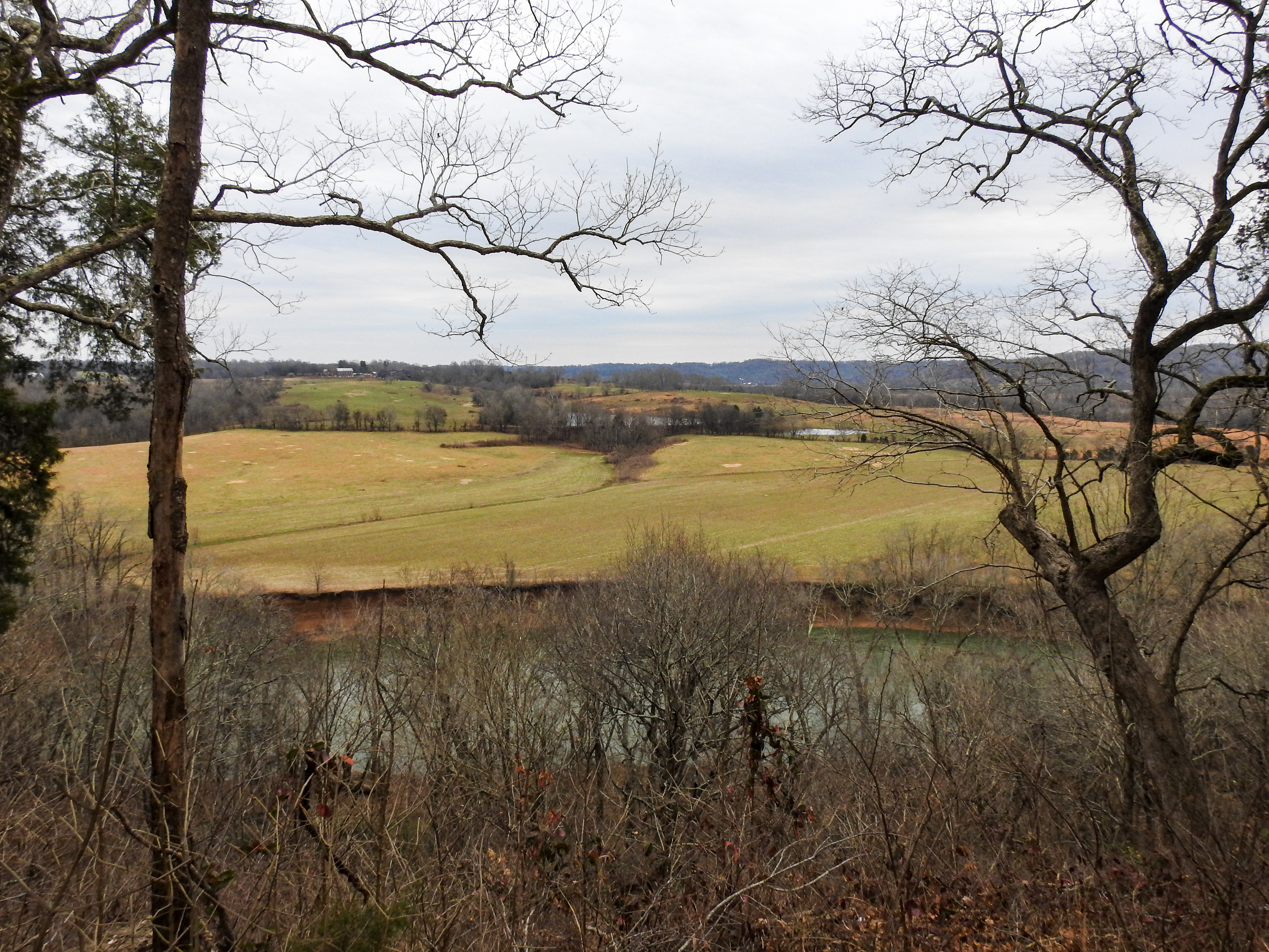 Baker's Bluff