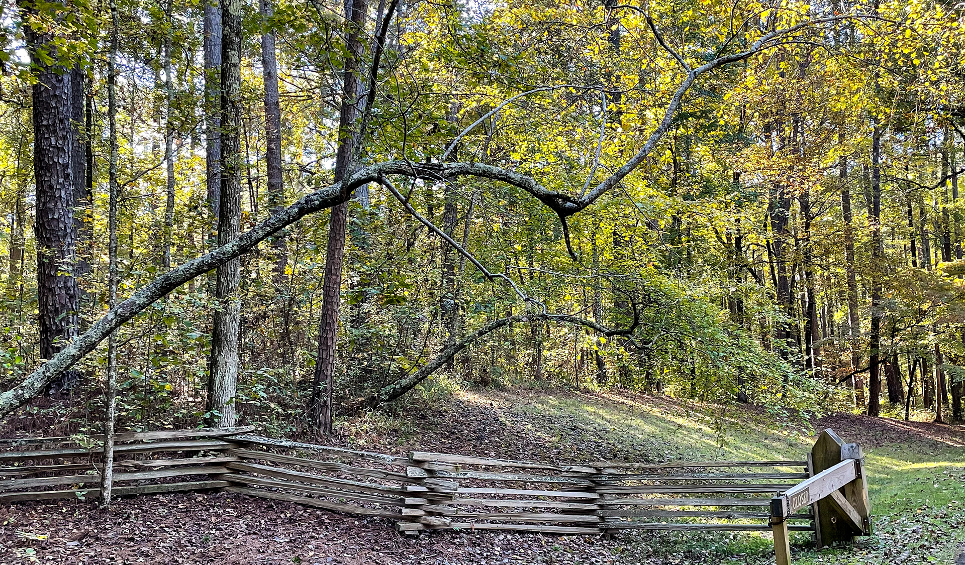 Jeff Busby State Park