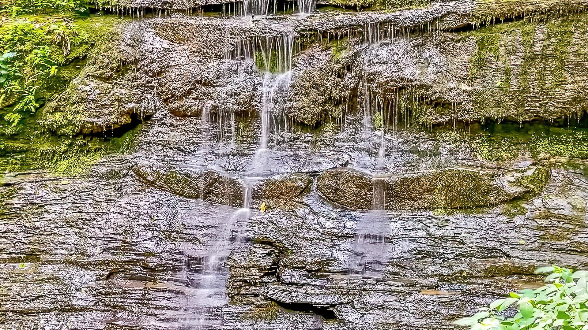 Jackson Falls: drought condition