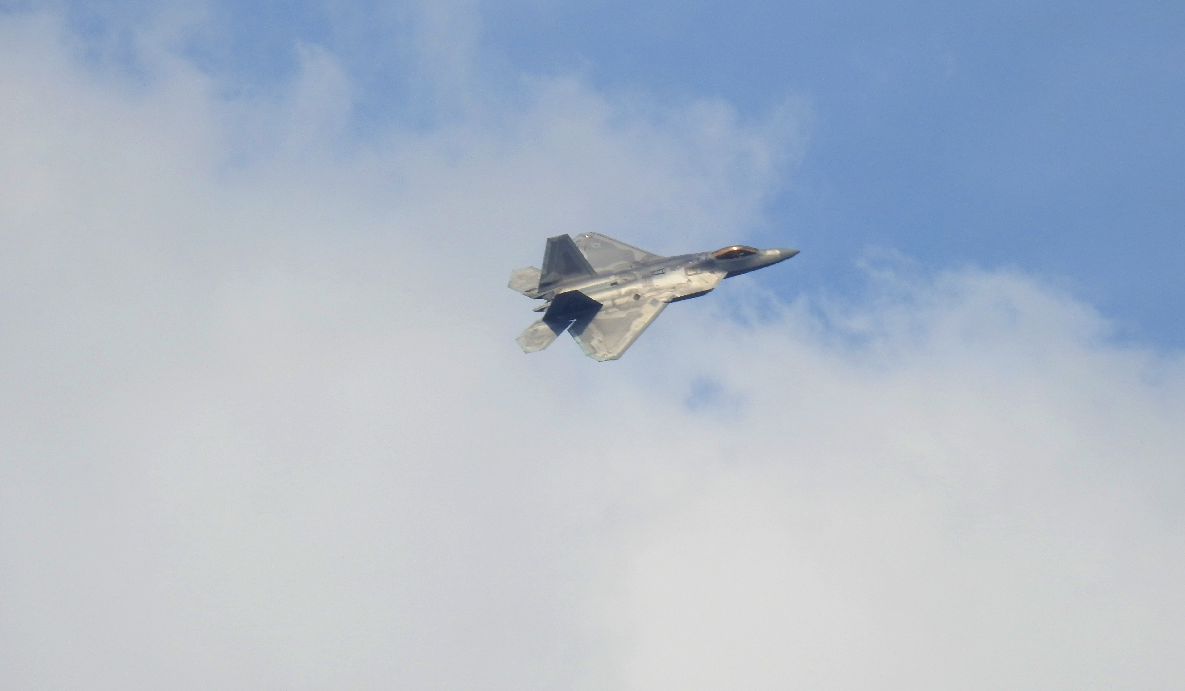 F-22 Raptor