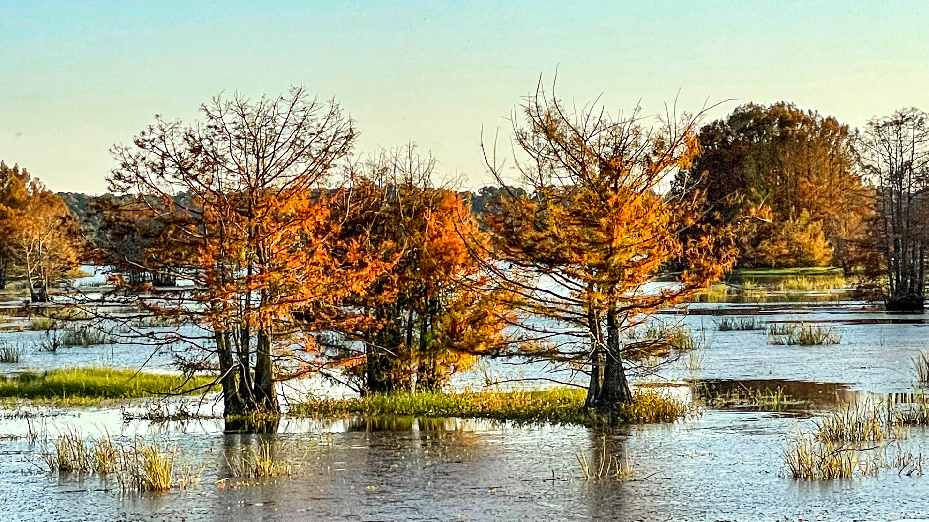 Noxubee Refuge