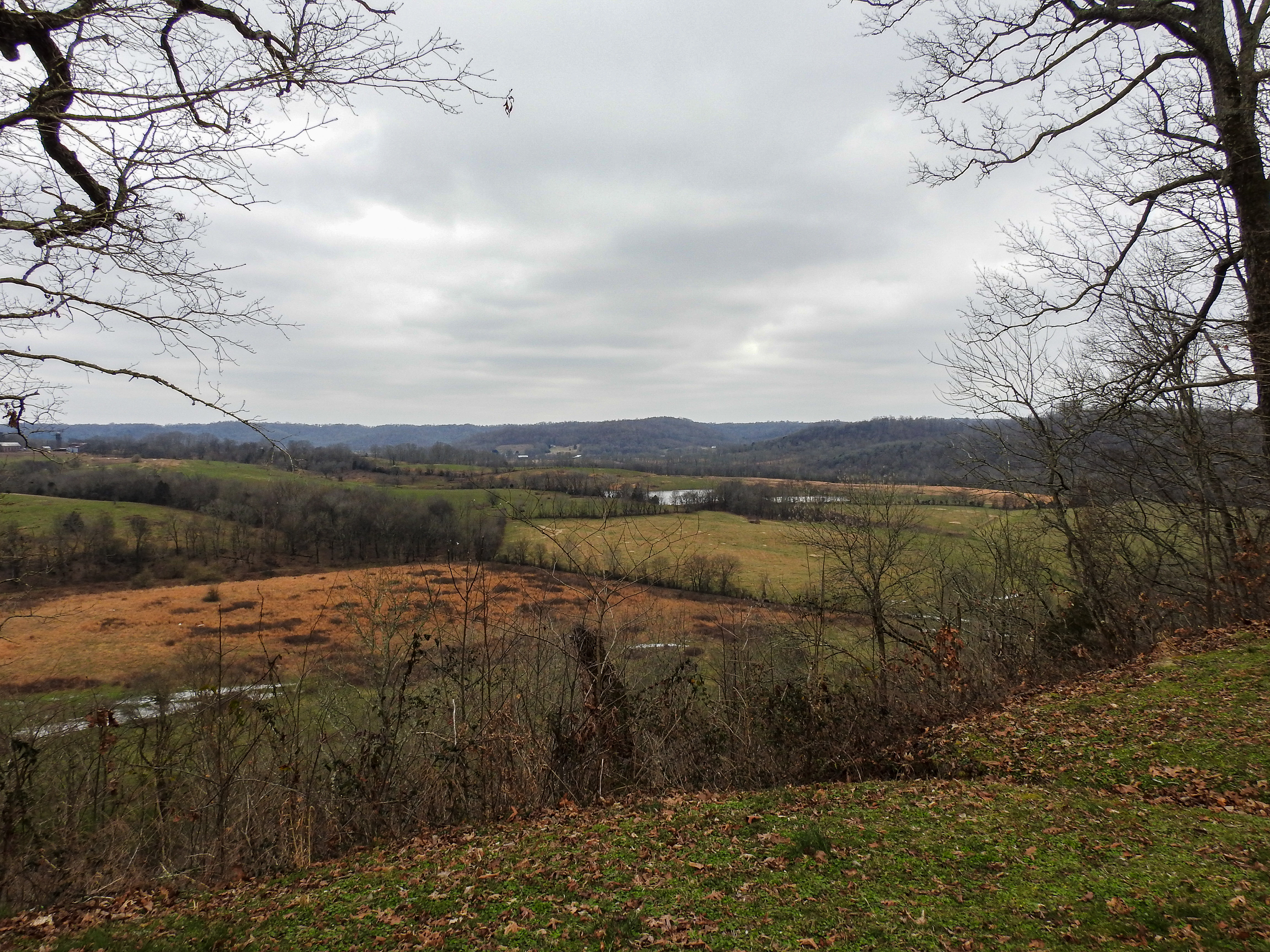 Baker's Bluff