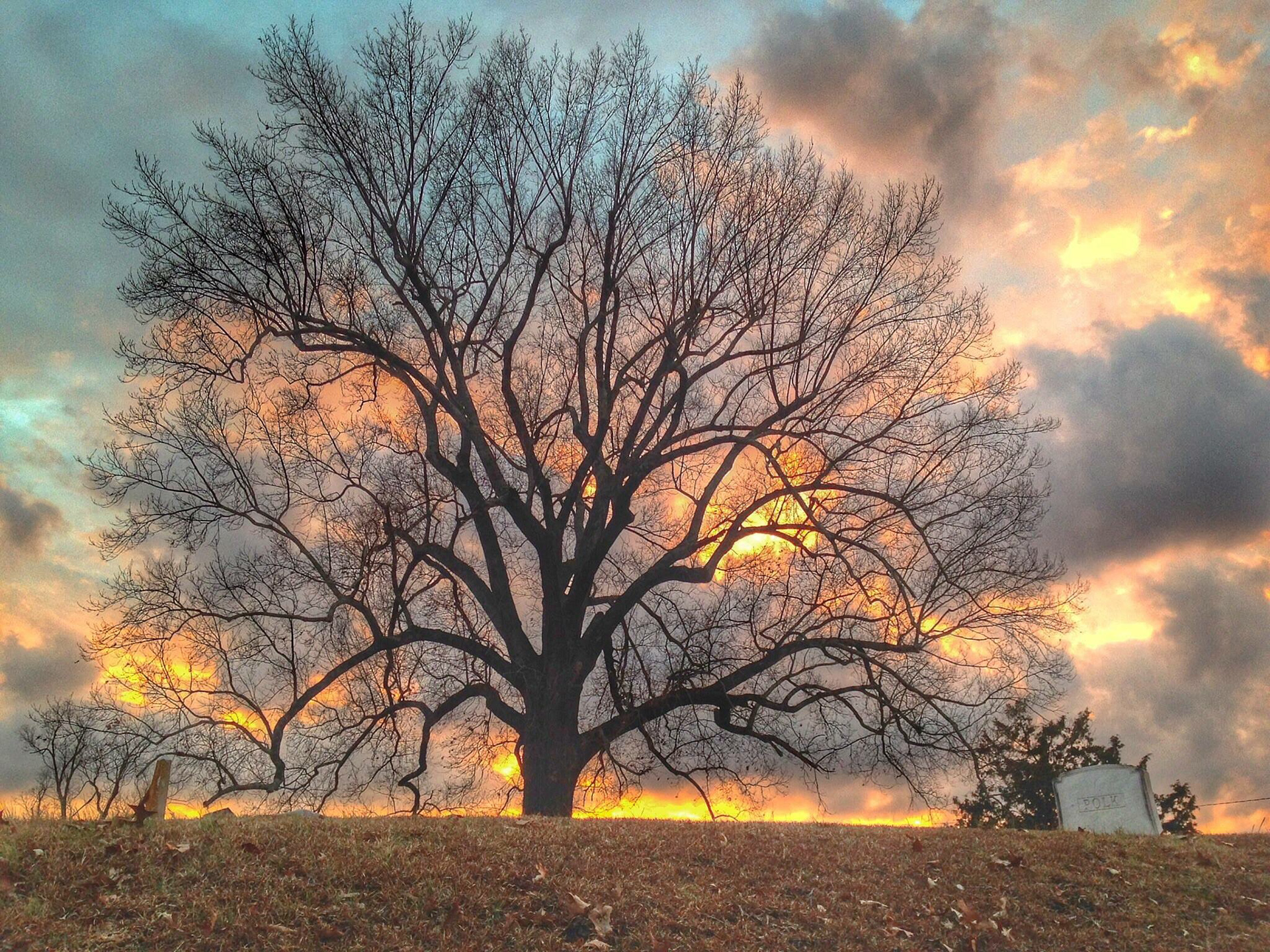 Odd Fellows Cemetery: Starkville, Ms