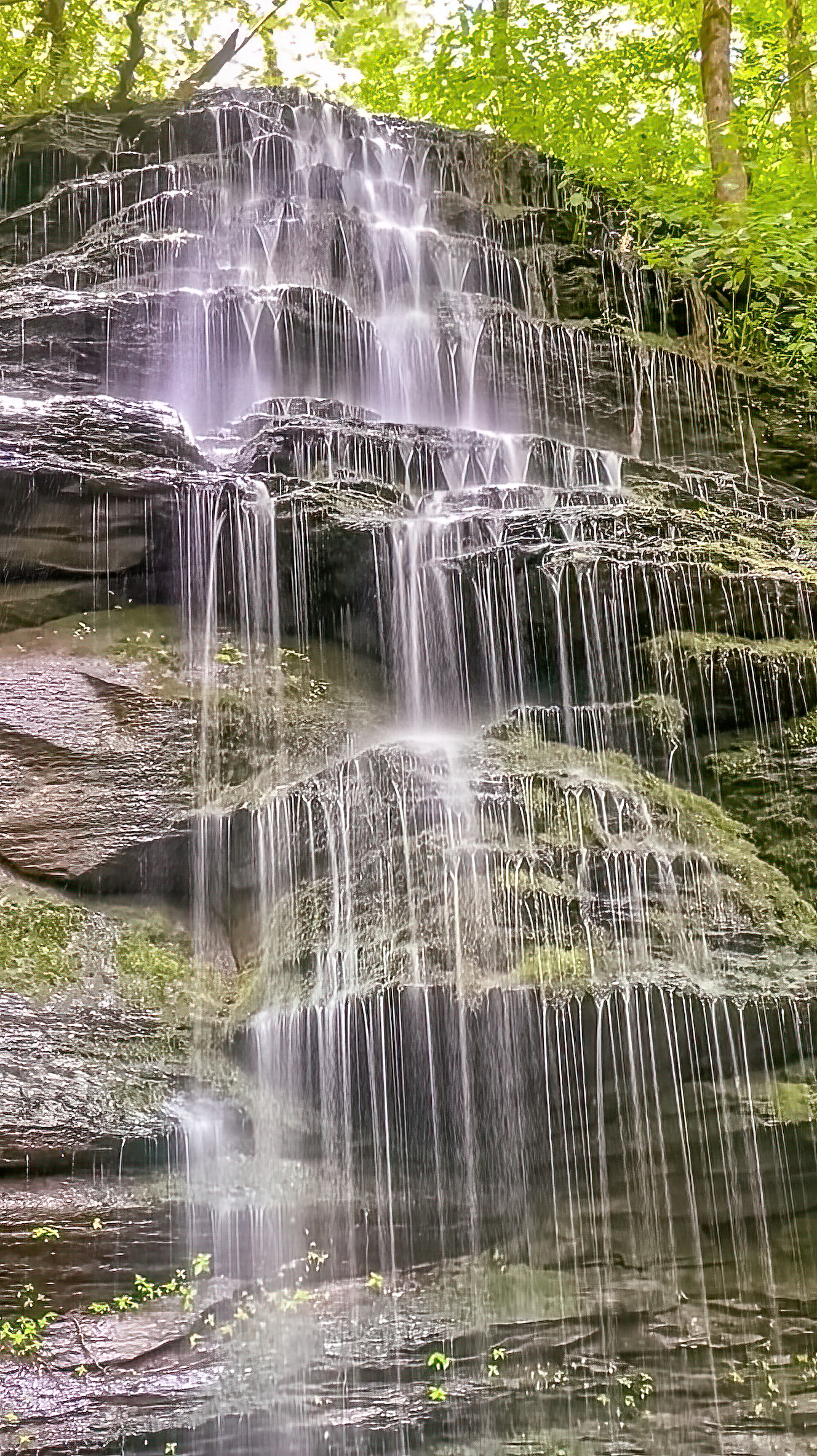 Fall Hollow