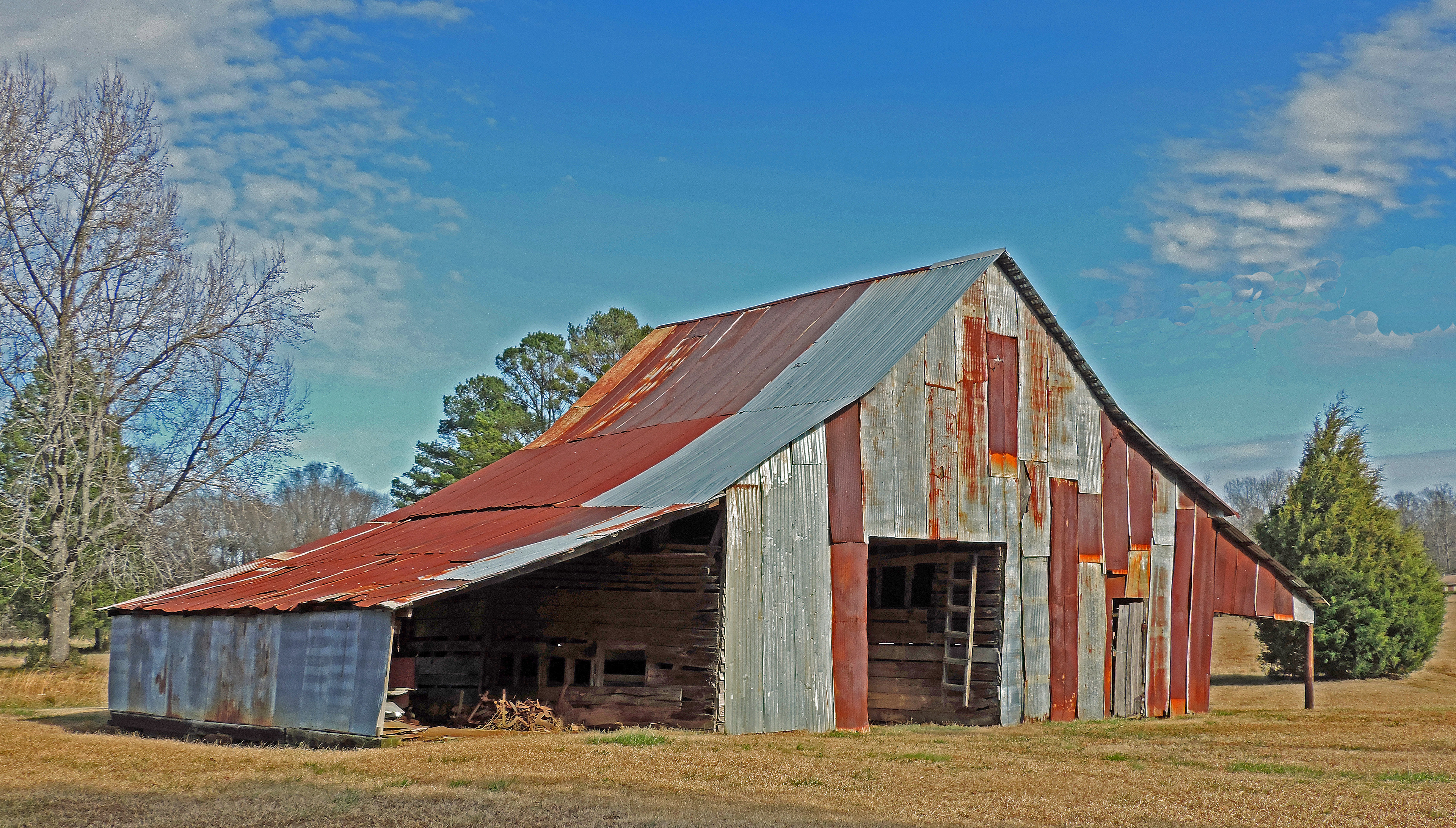 Barn: Ms Delta