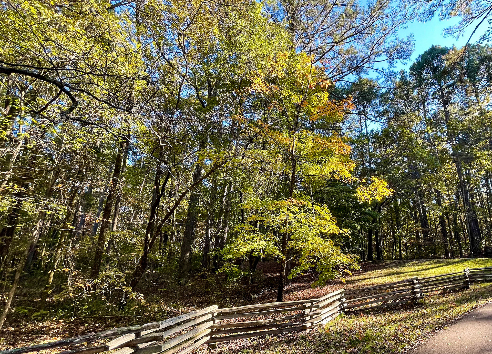 Jeff Busby State Park