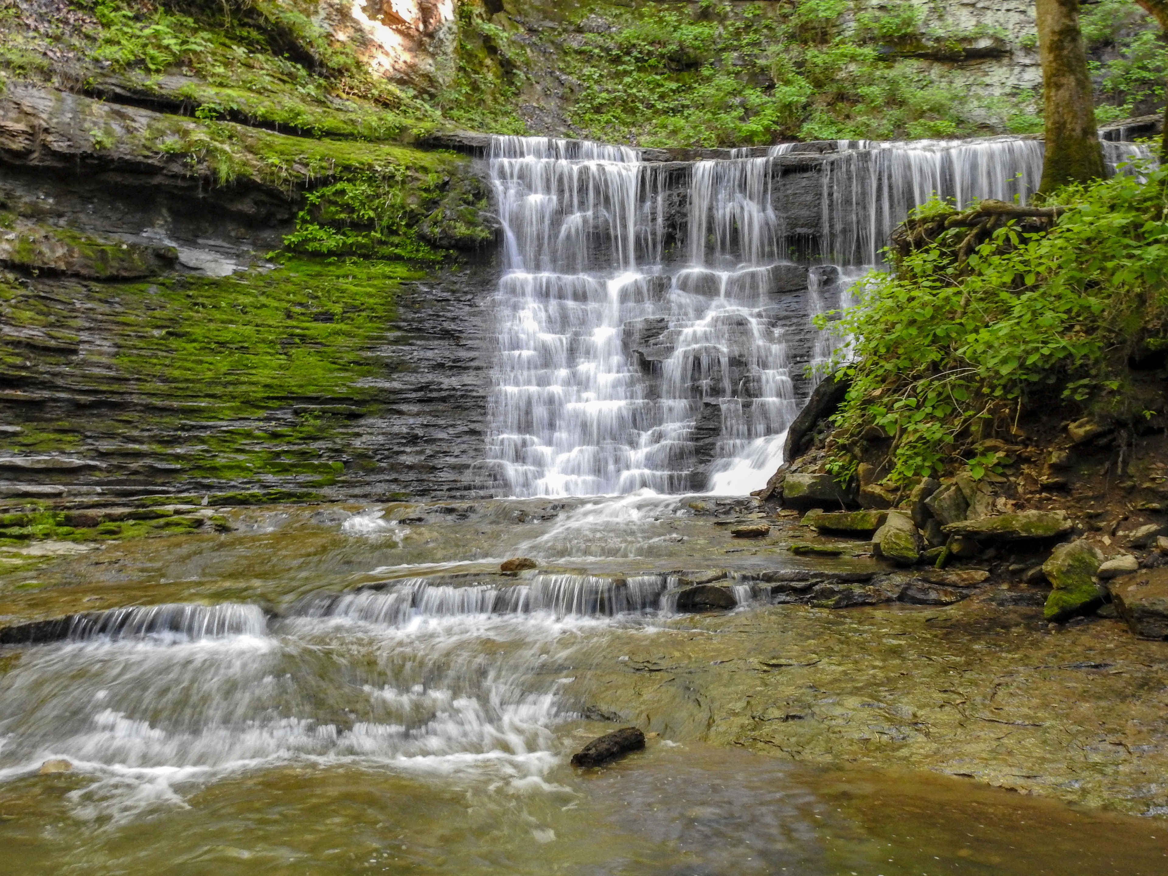 Jackson Falls