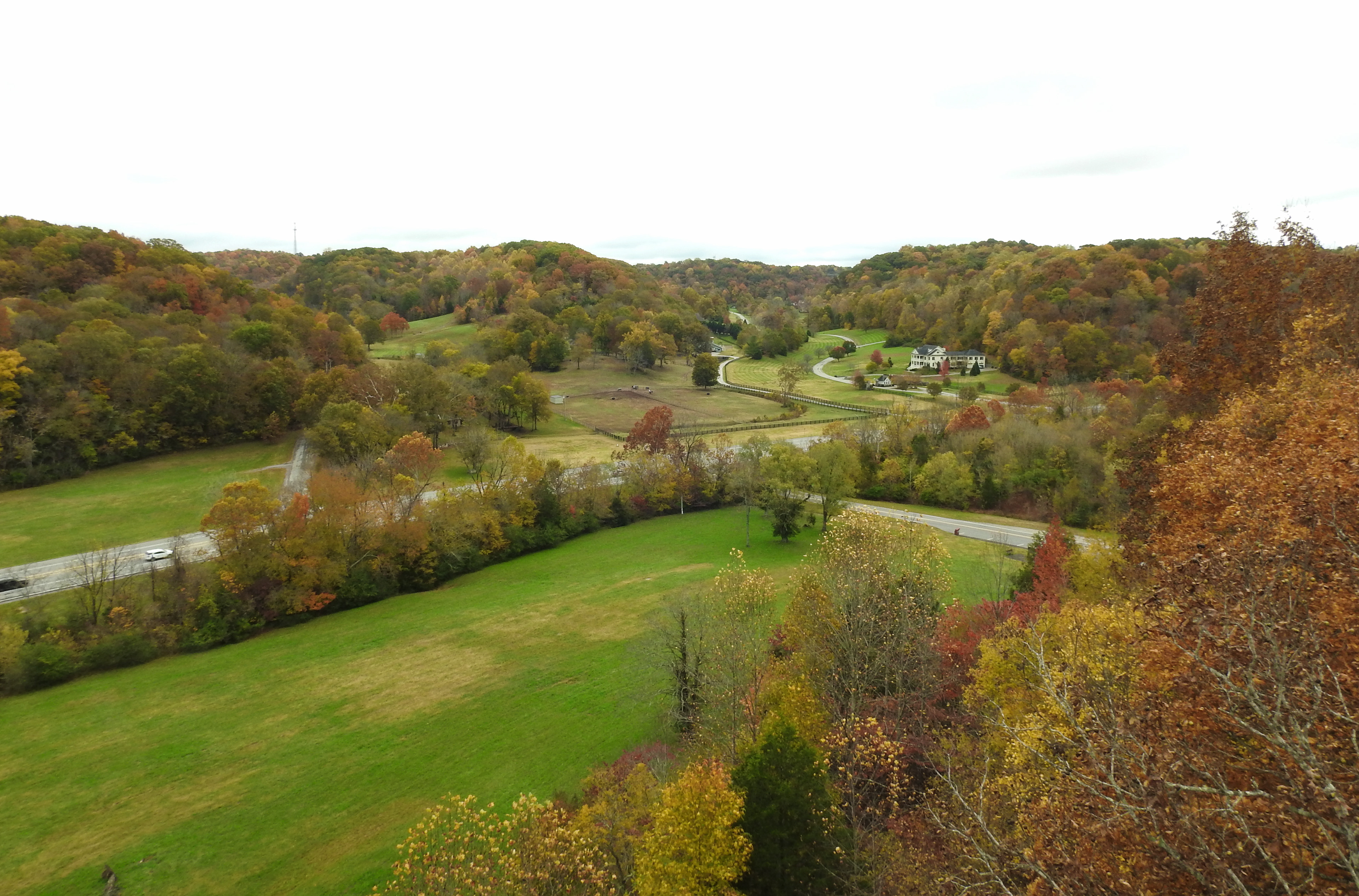Birdsong Hollow