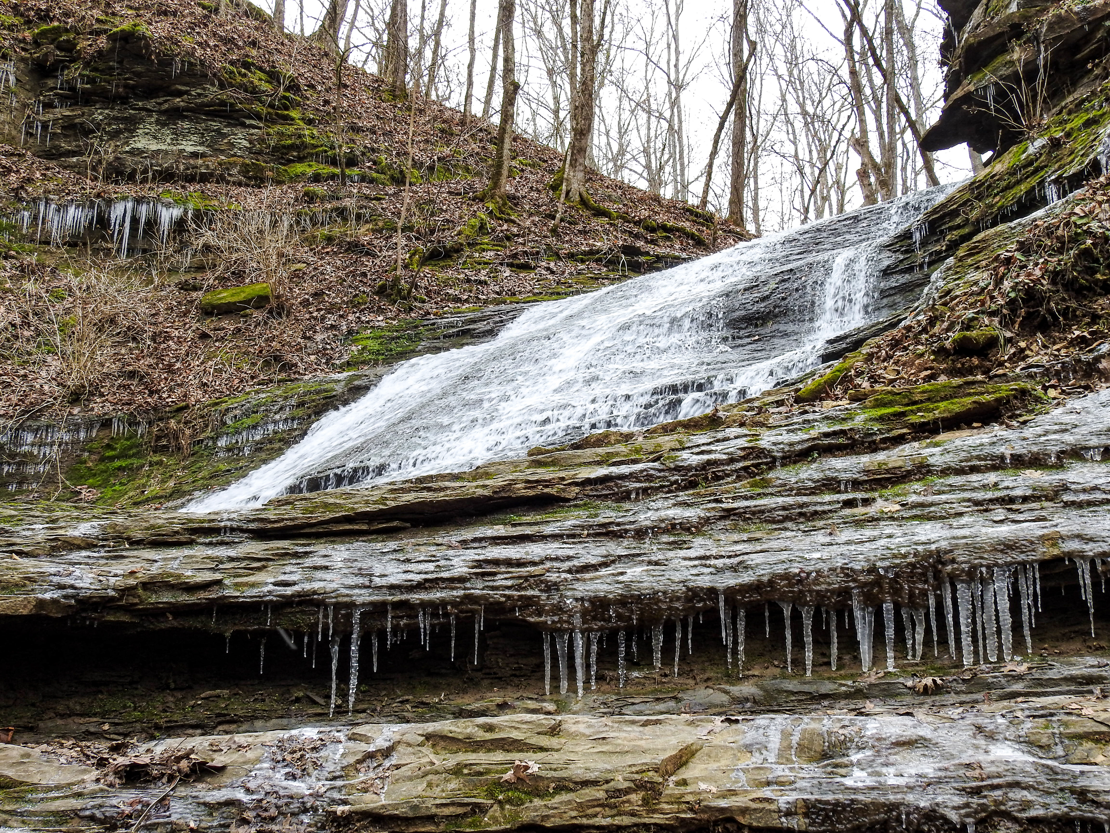 Jackson Falls