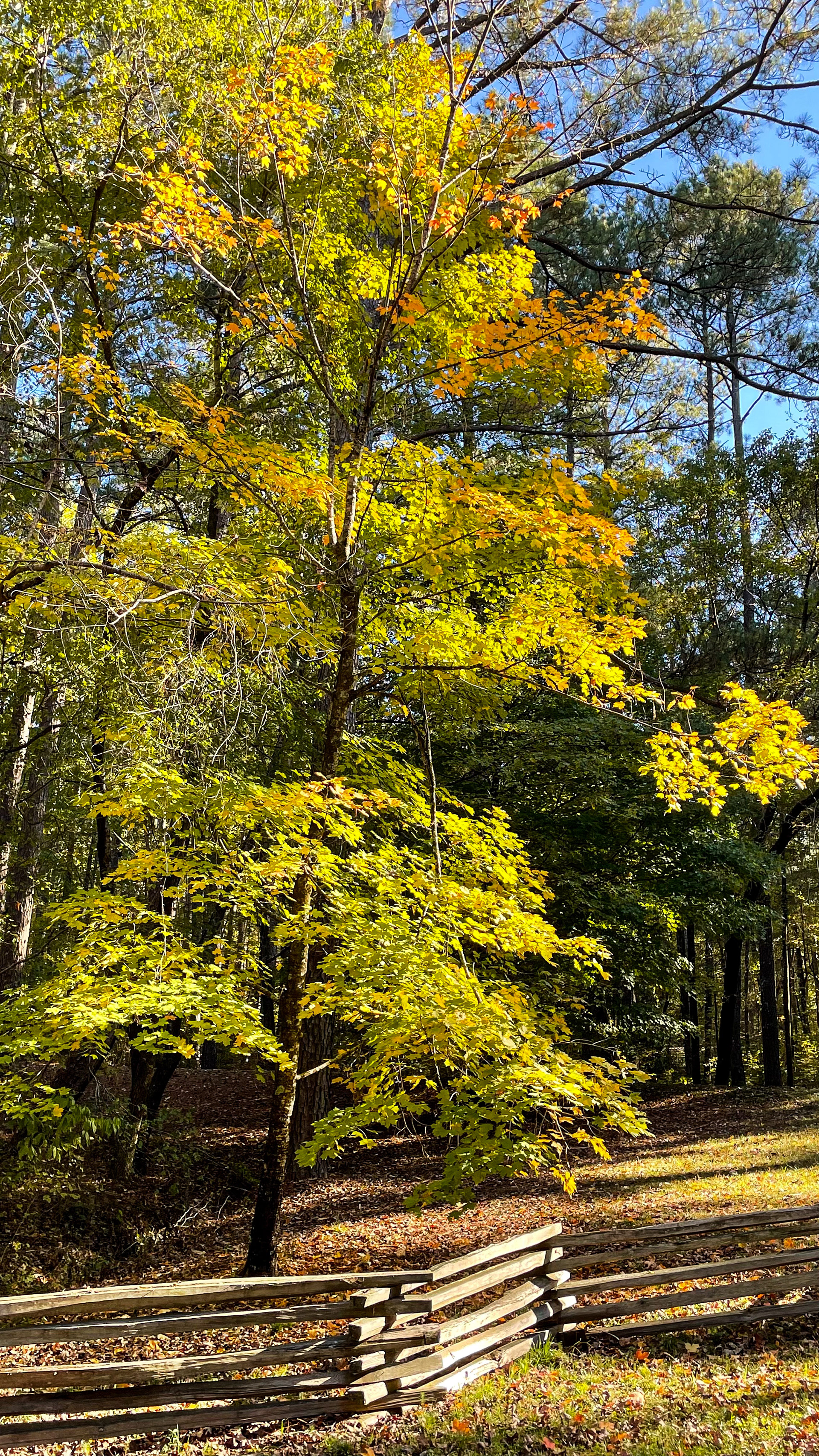 Jeff Busby State Park