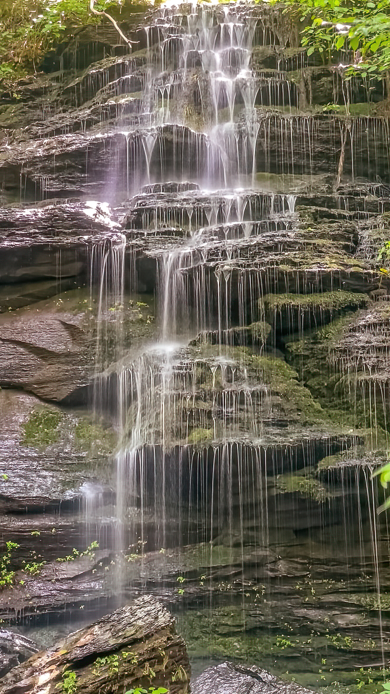 Fall Hollow