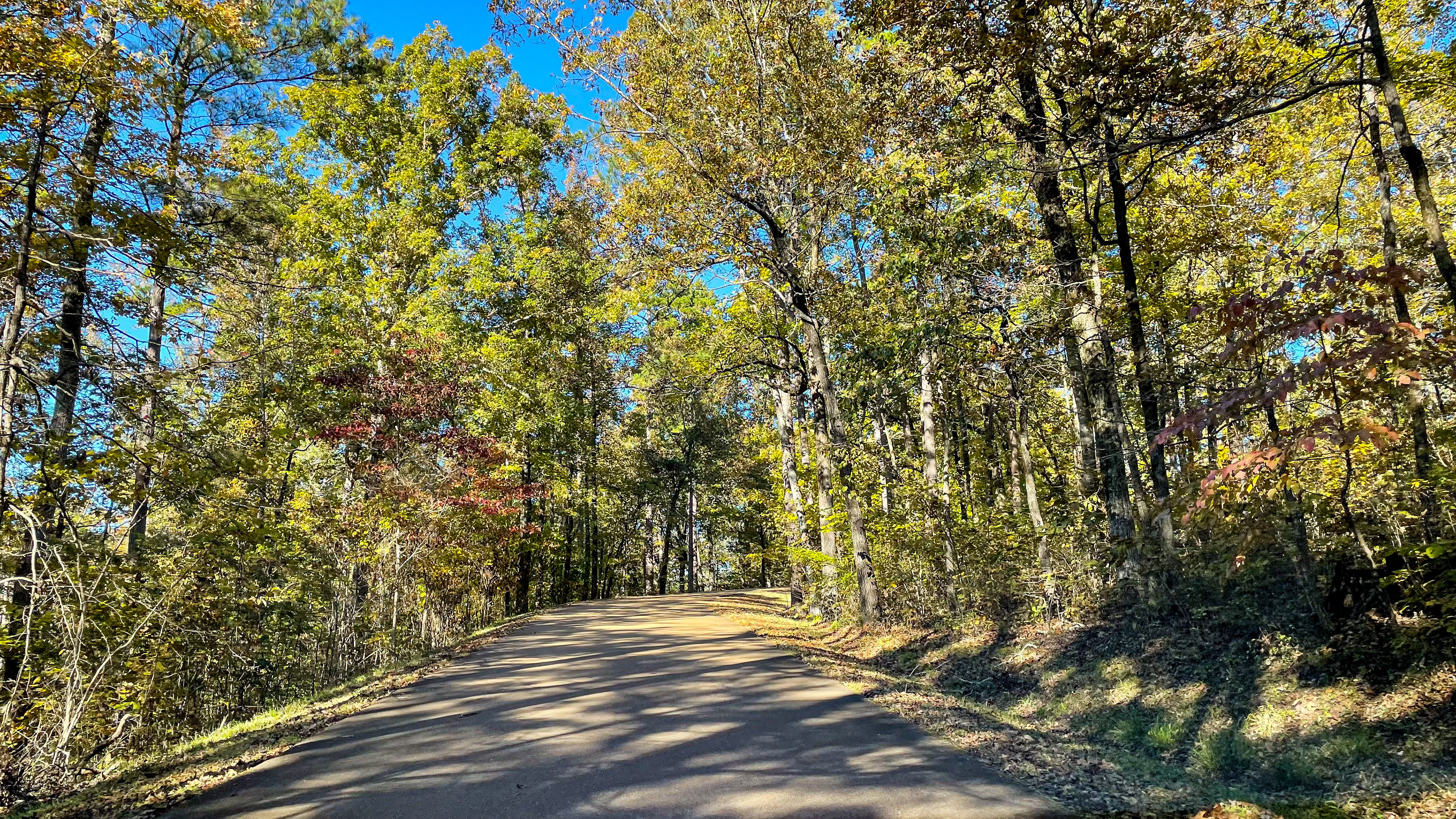 Jeff Busby State Park