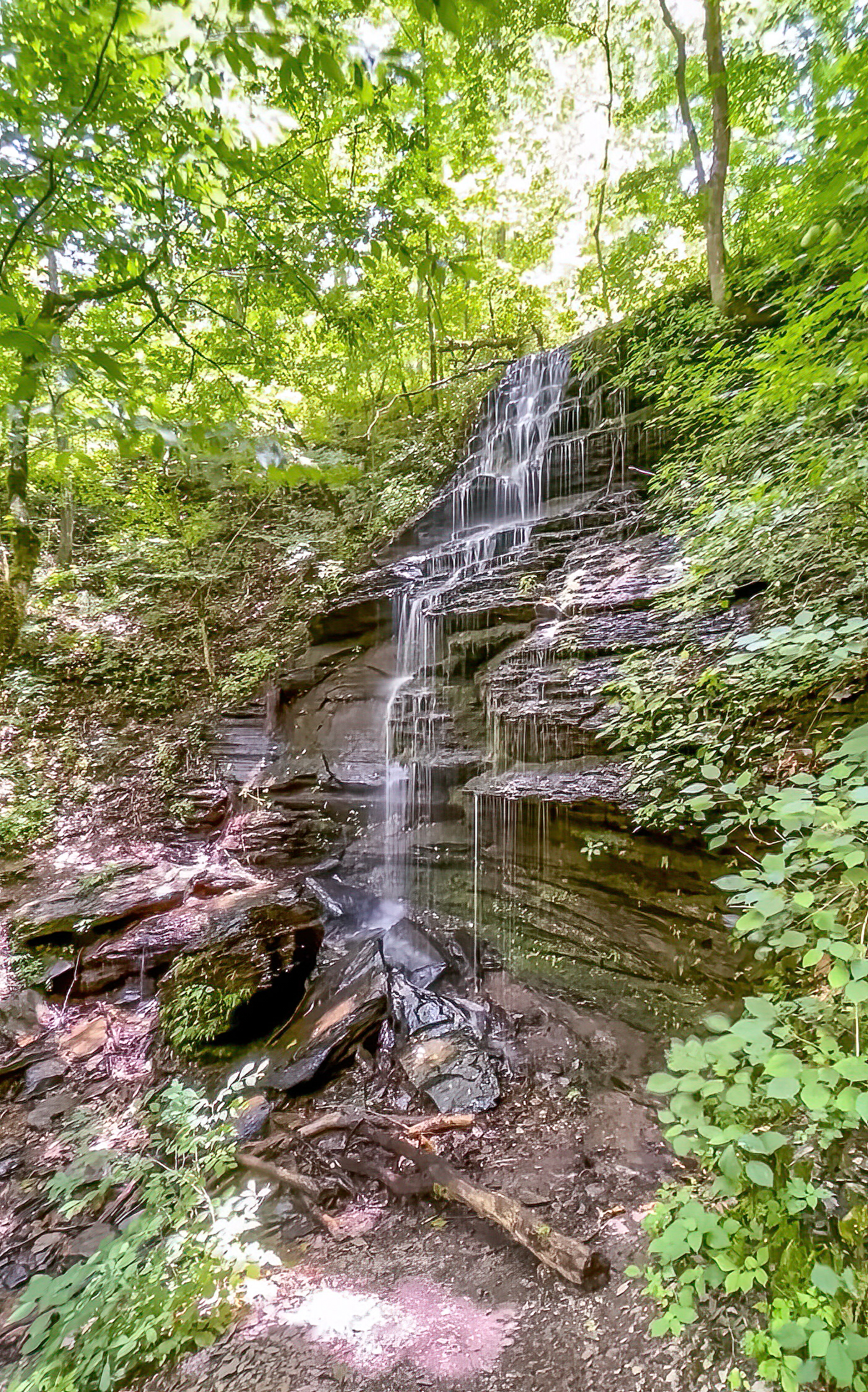 Fall Hollow