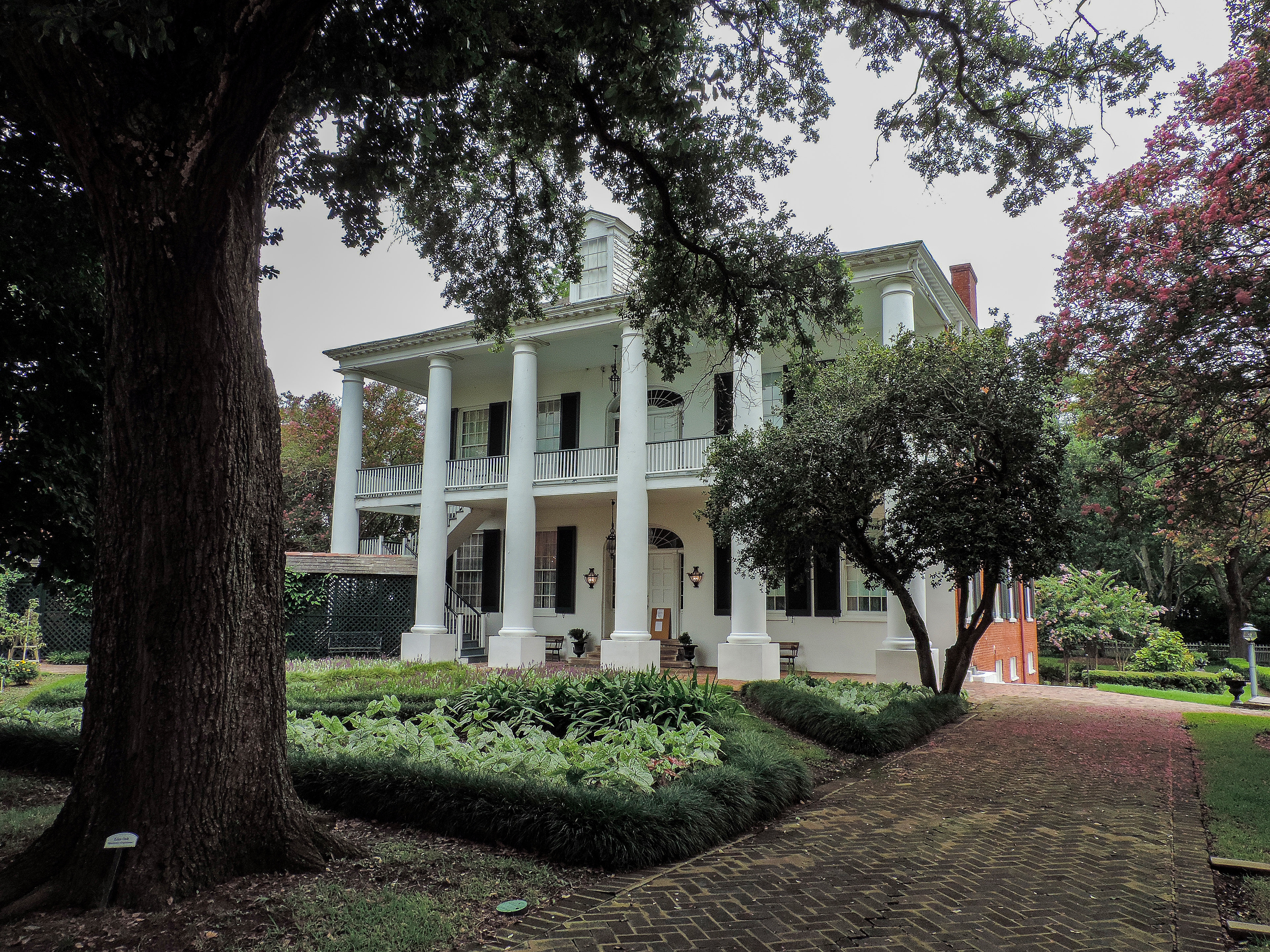Rosalie: Natchez, Ms