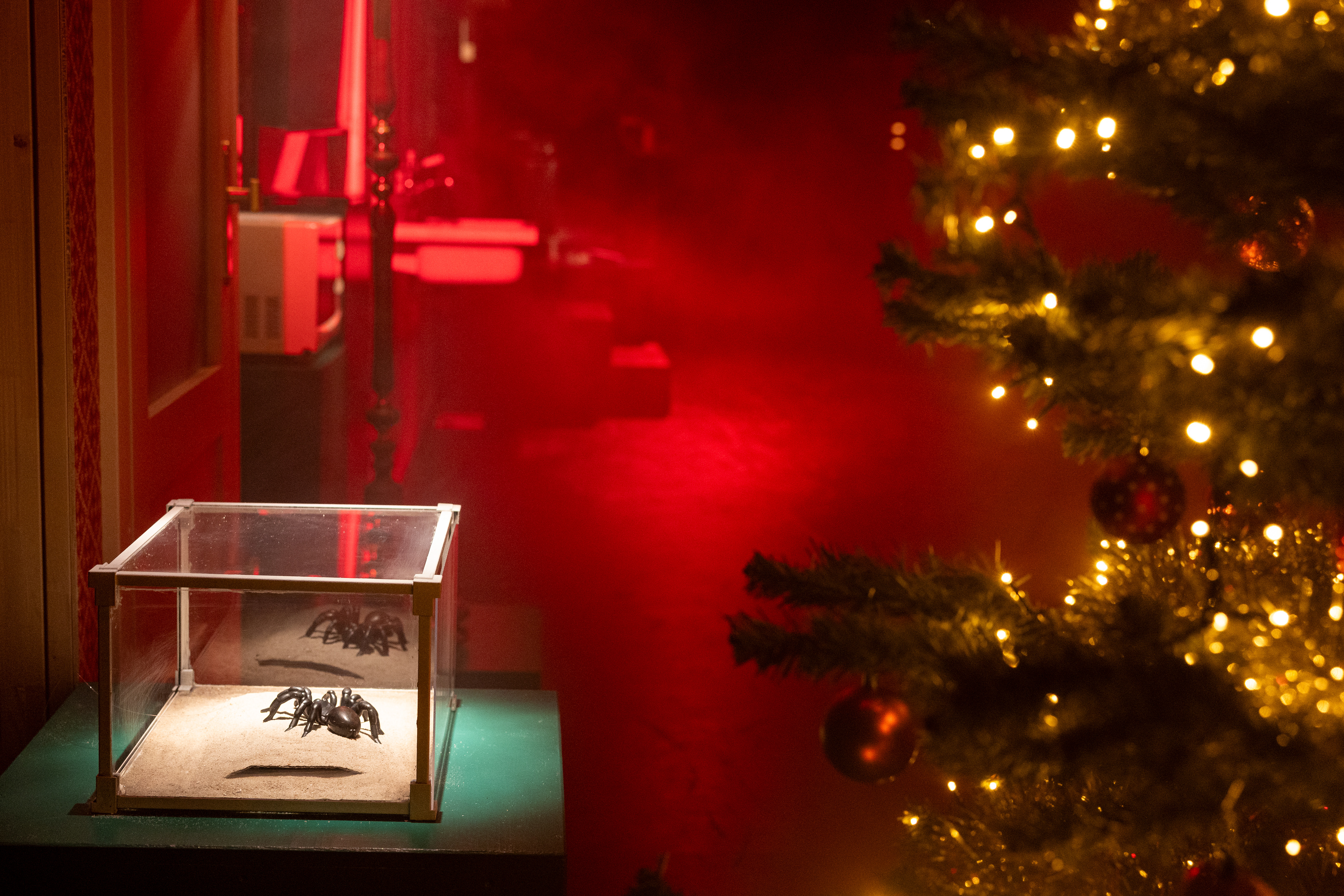 Foto: Britt Schilling