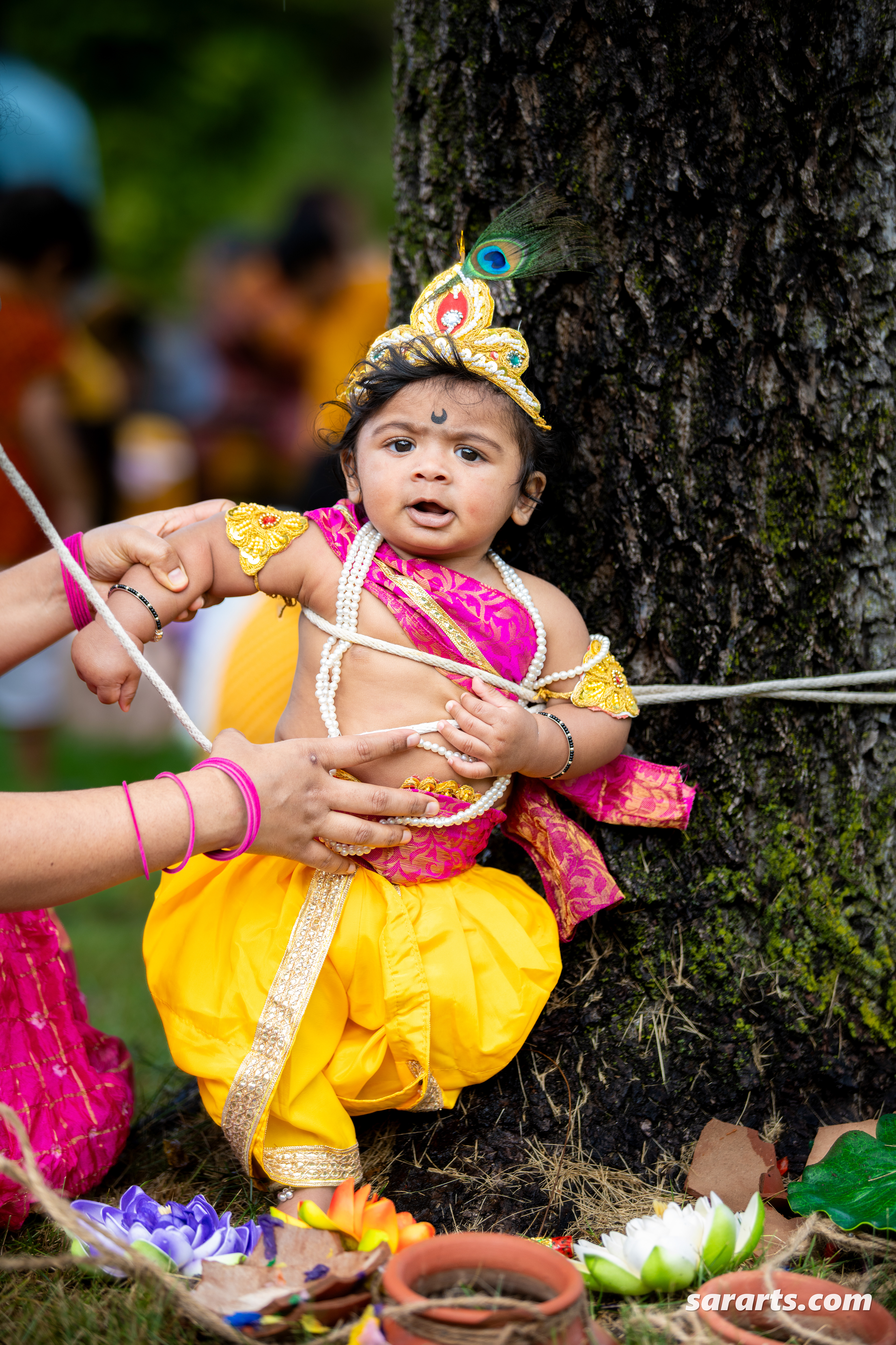 Krishna Janmashtami