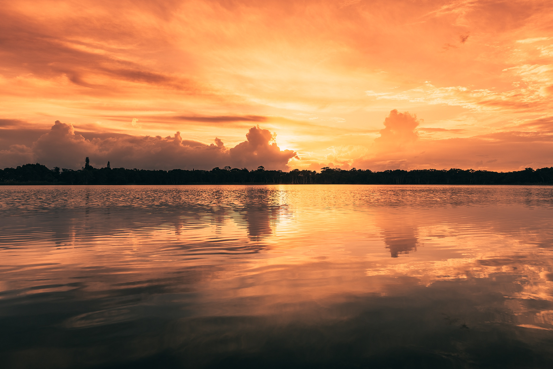 Lake Ainsworth (1) | © All rights reserved