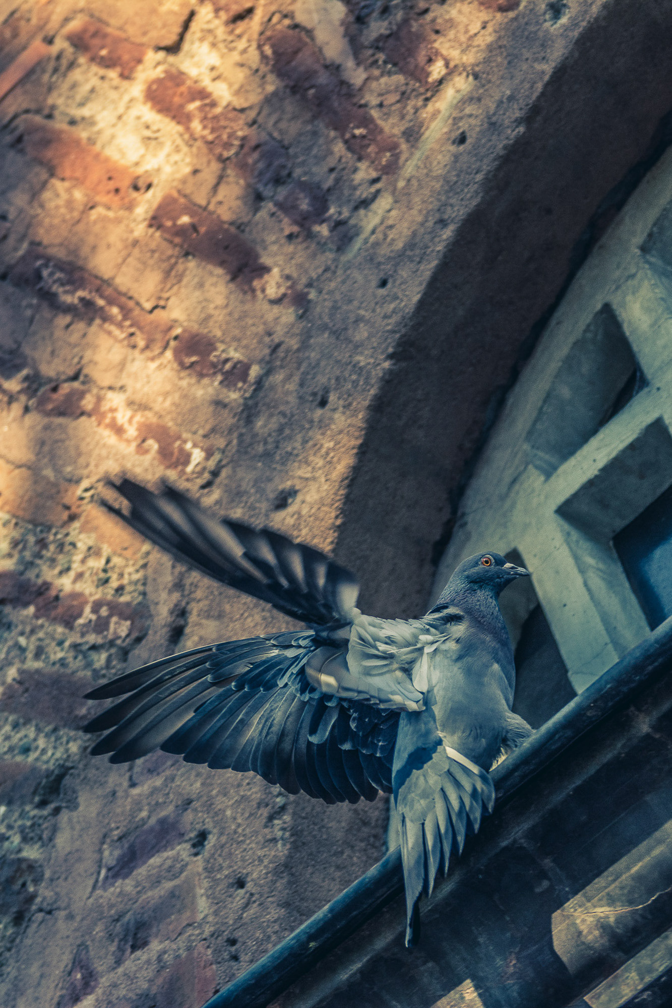 Unavailable | © All rights reserved