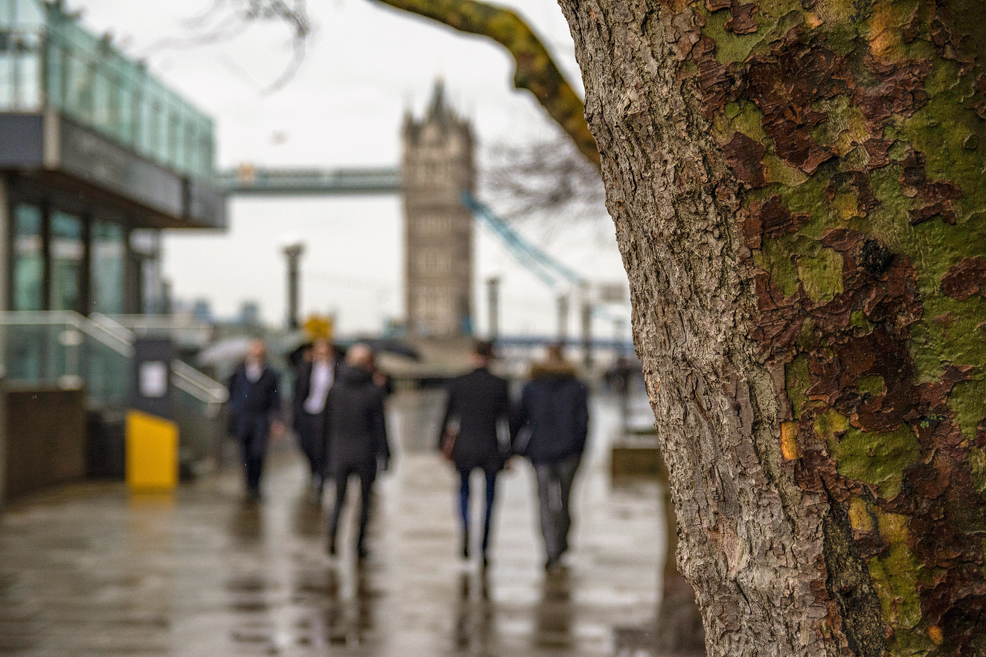 Unavailable | © All rights reserved