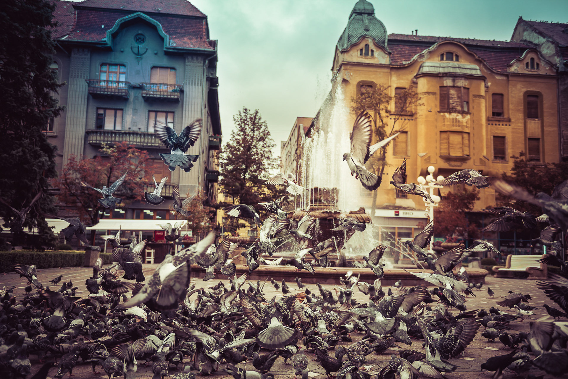 Unavailable | © All rights reserved