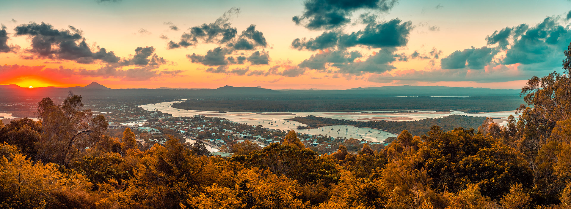 Head of the Snake | © All rights reserved