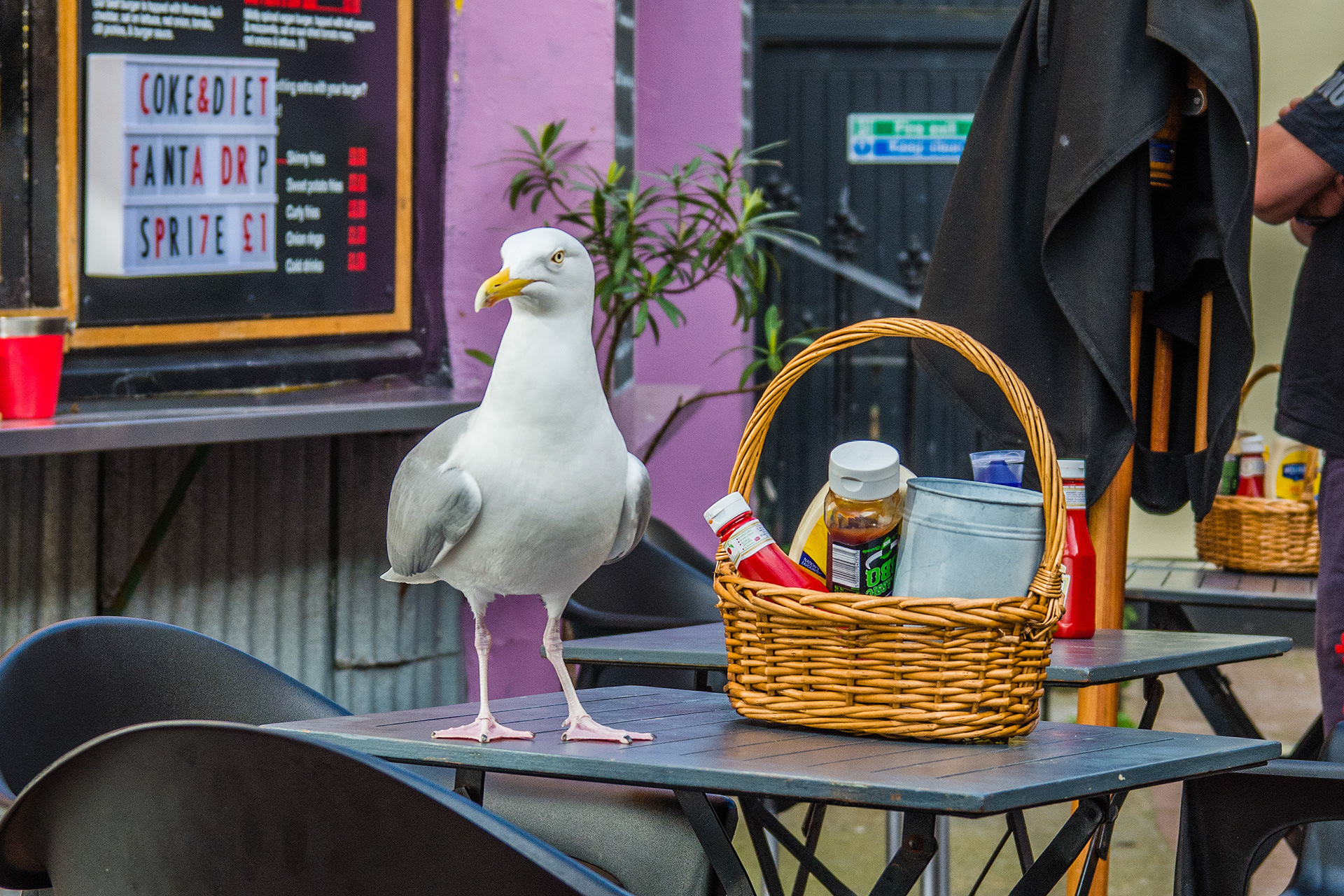 Unavailable | © All rights reserved