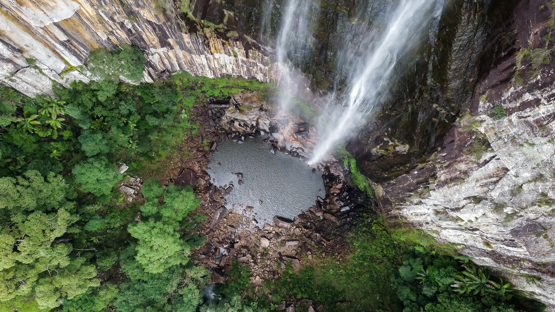 Minyon Falls (3) | © All rights reserved