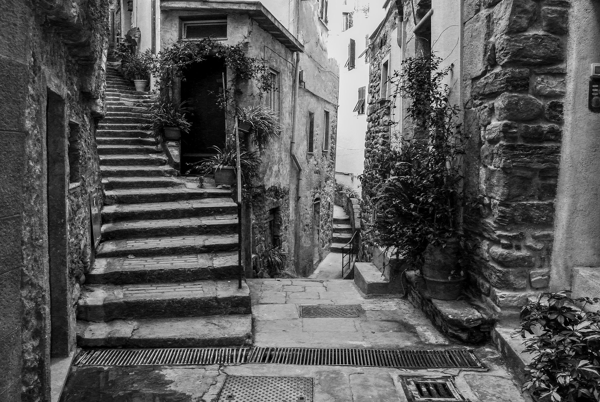 Separate Ways | © All rights reserved