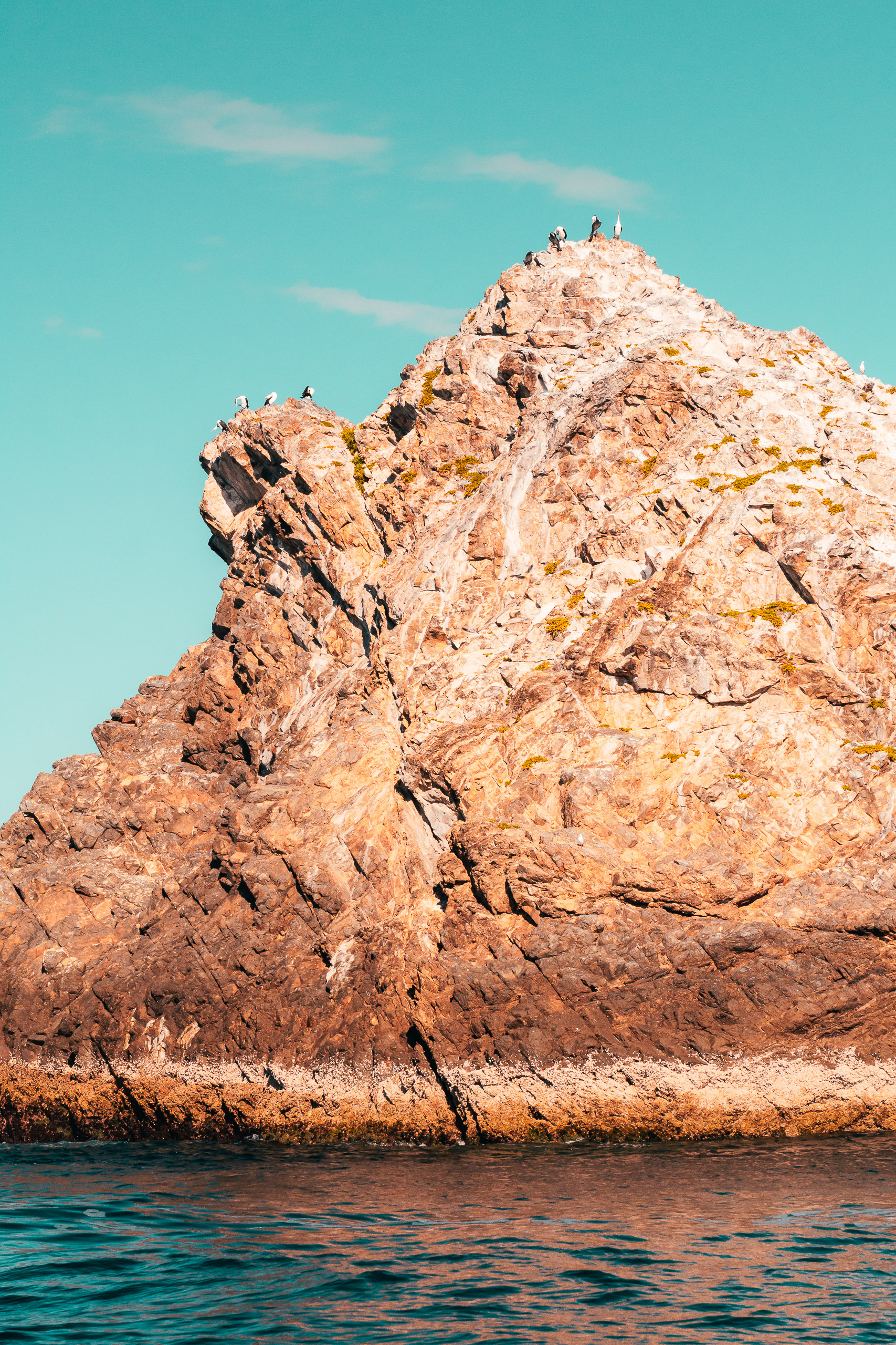 Julian Rocks (1) | © All rights reserved