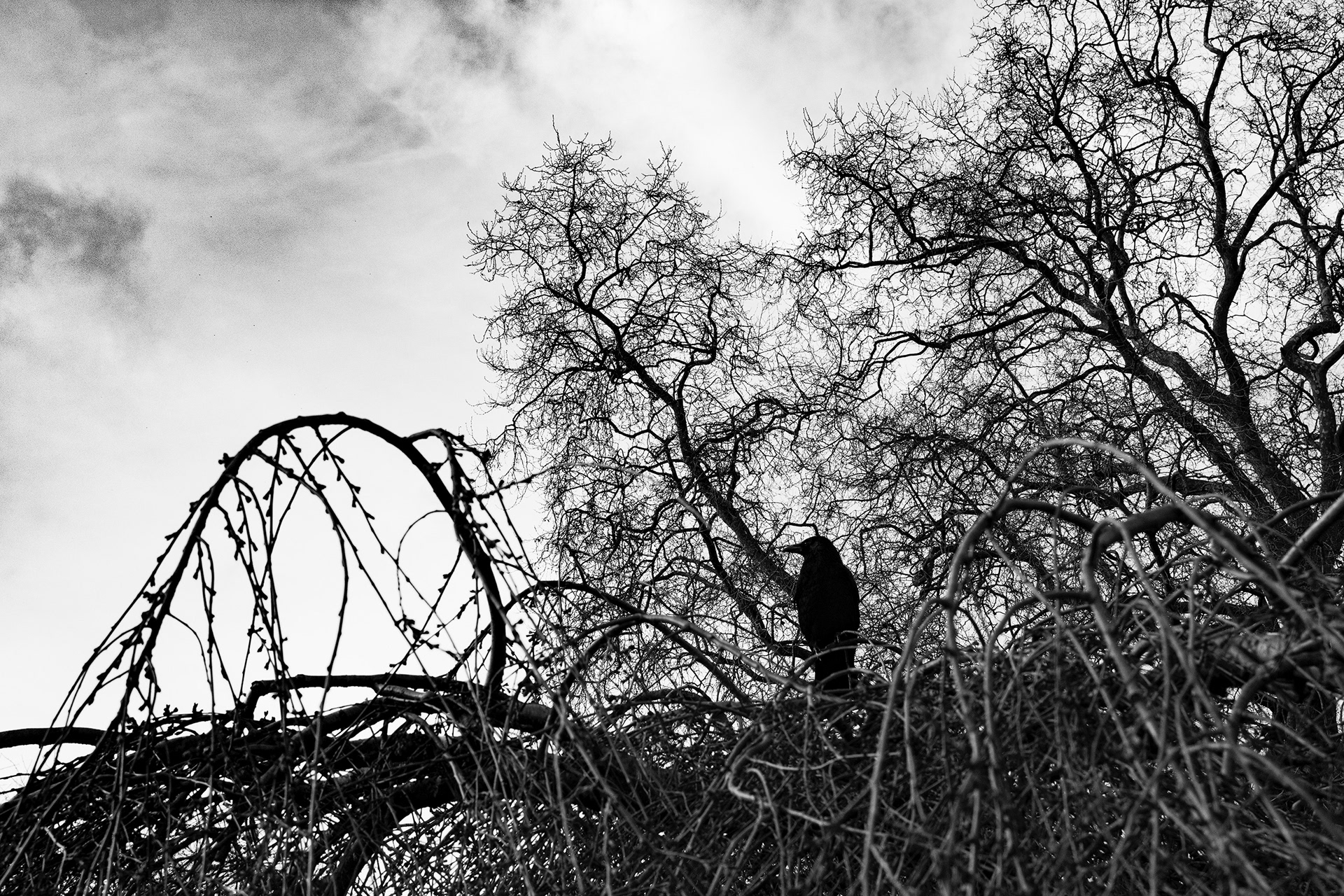 Unavailable | © All rights reserved