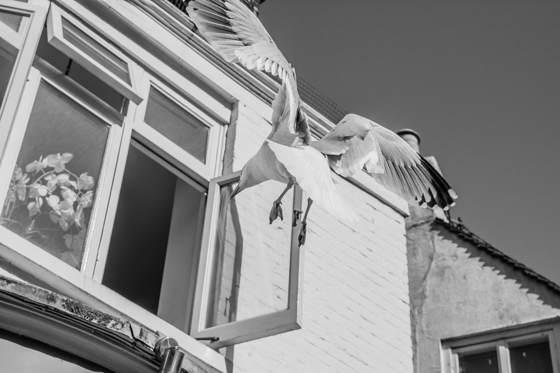 Unavailable | © All rights reserved