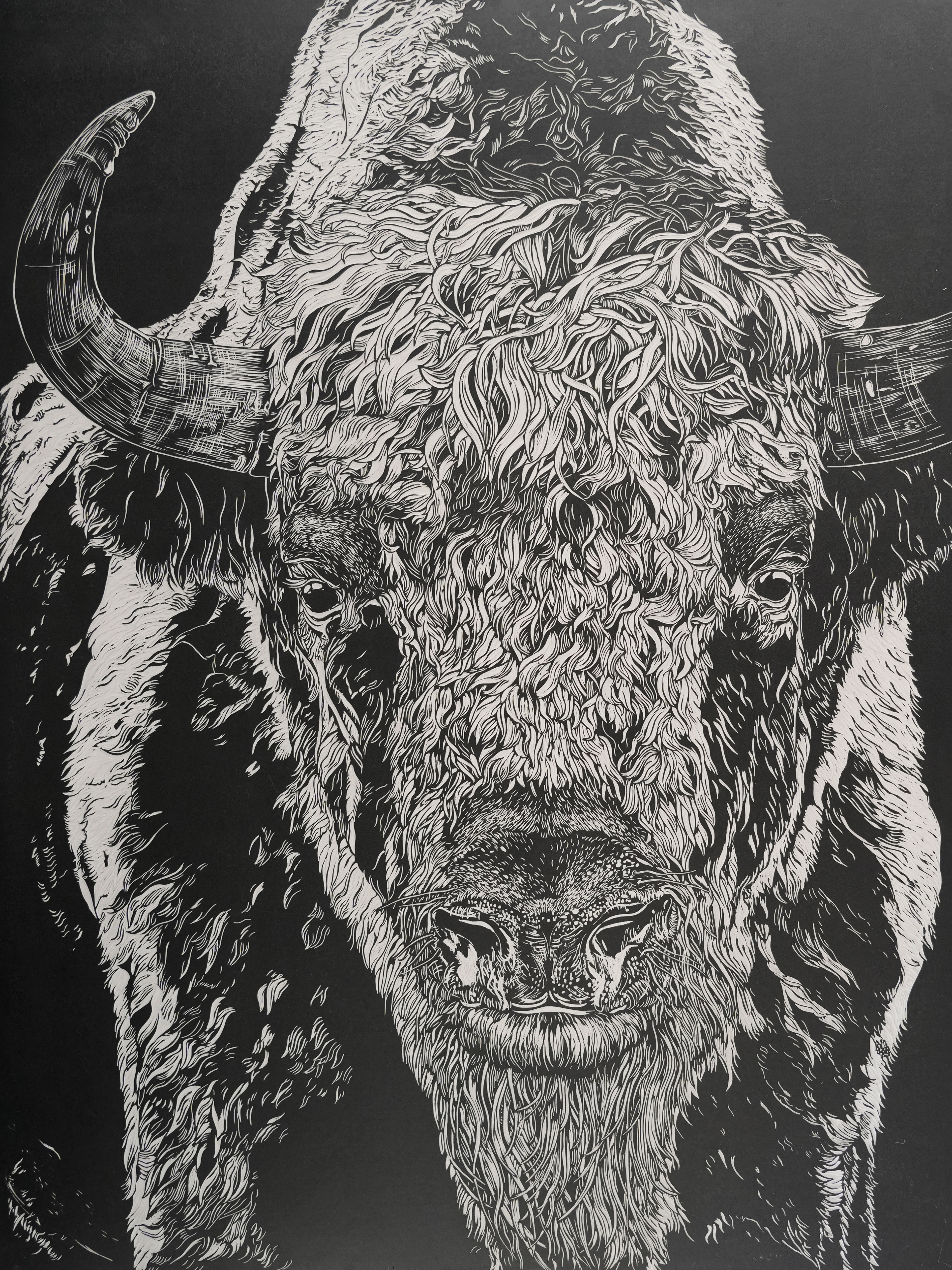 Petra Islik, Der Wisent, Bison bonasus, 2025, eingefärbte Linolplatte, 80 x 60 cm 