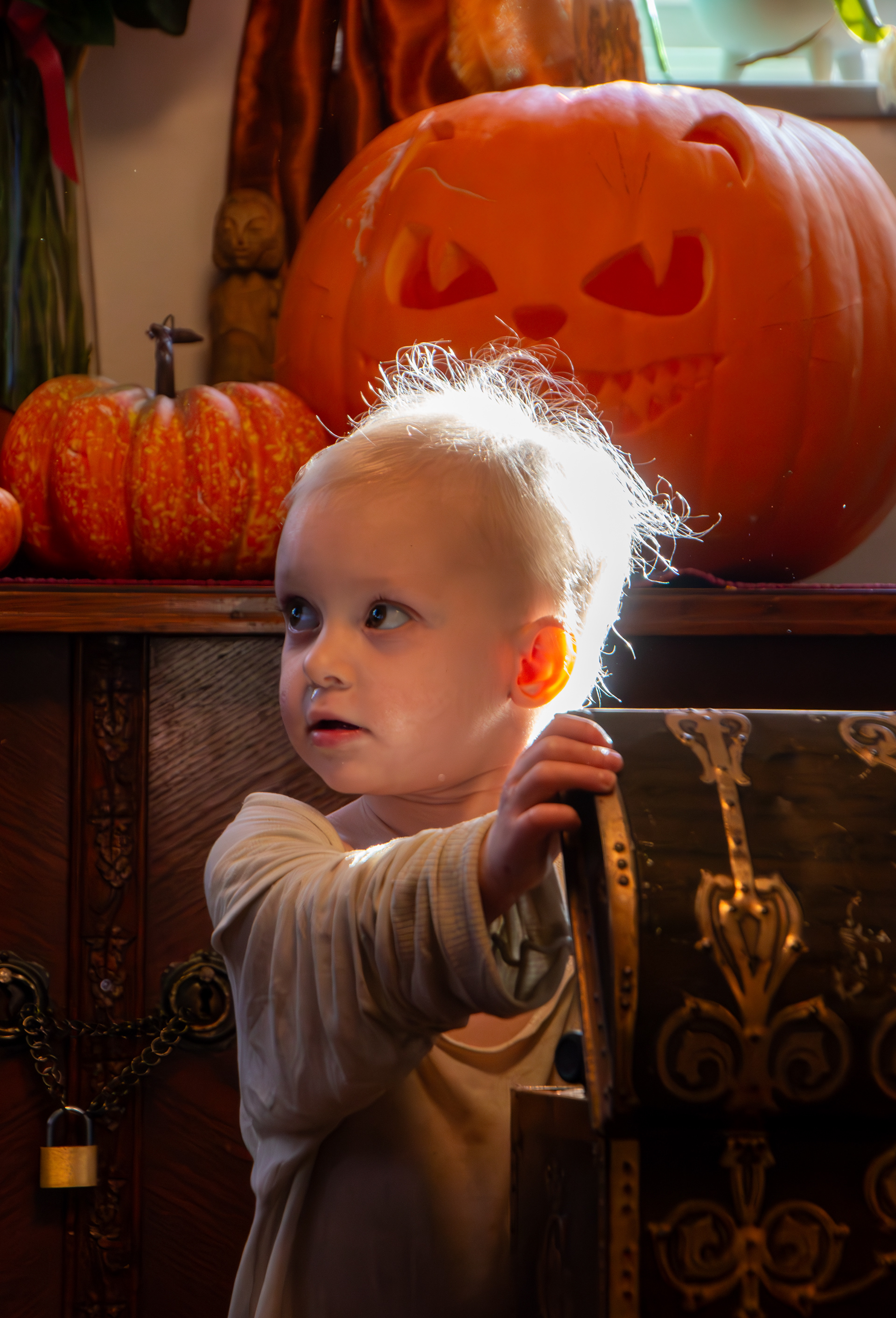 Halloween 2023 - Wynja