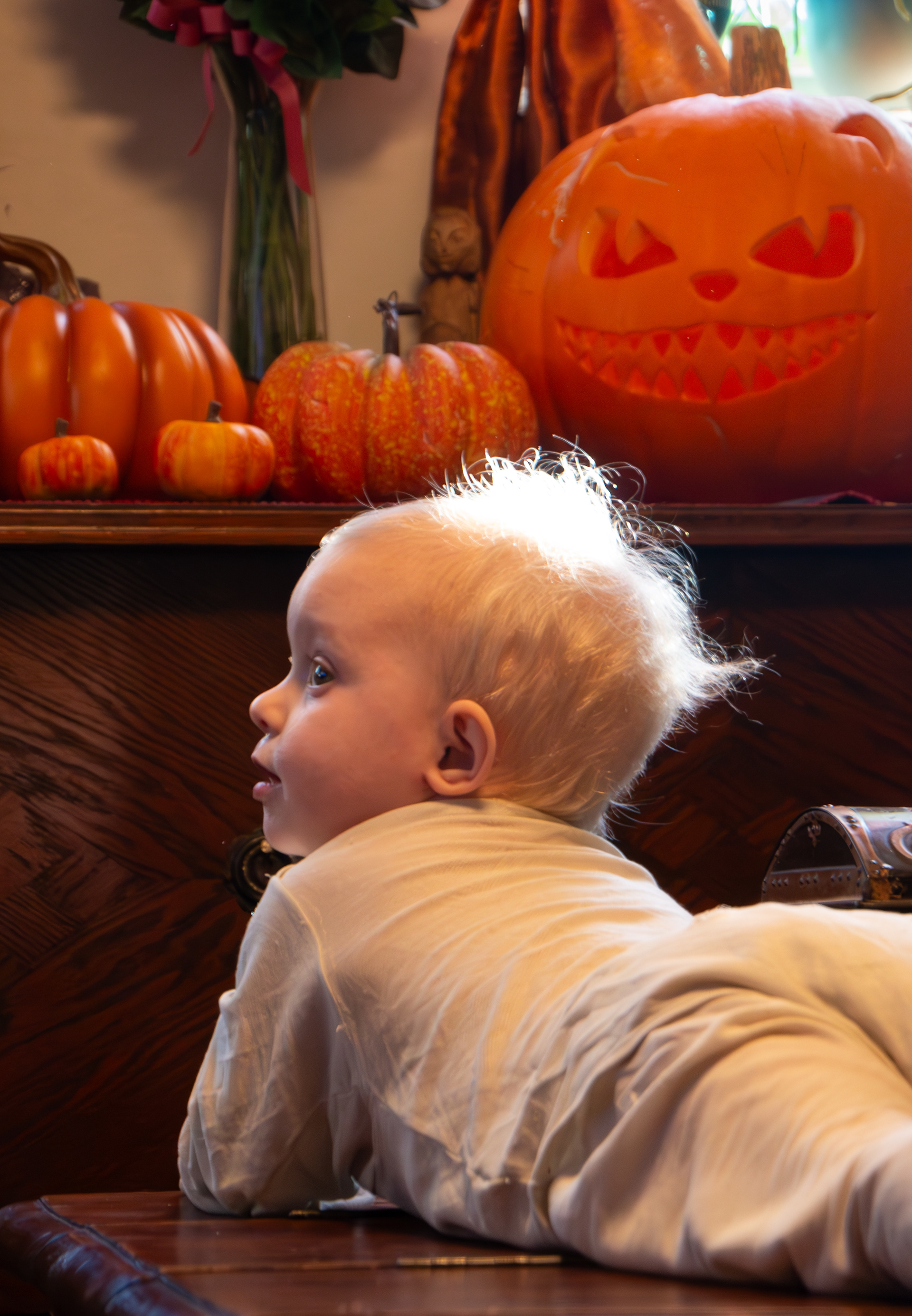 Halloween 2023 - Wynja