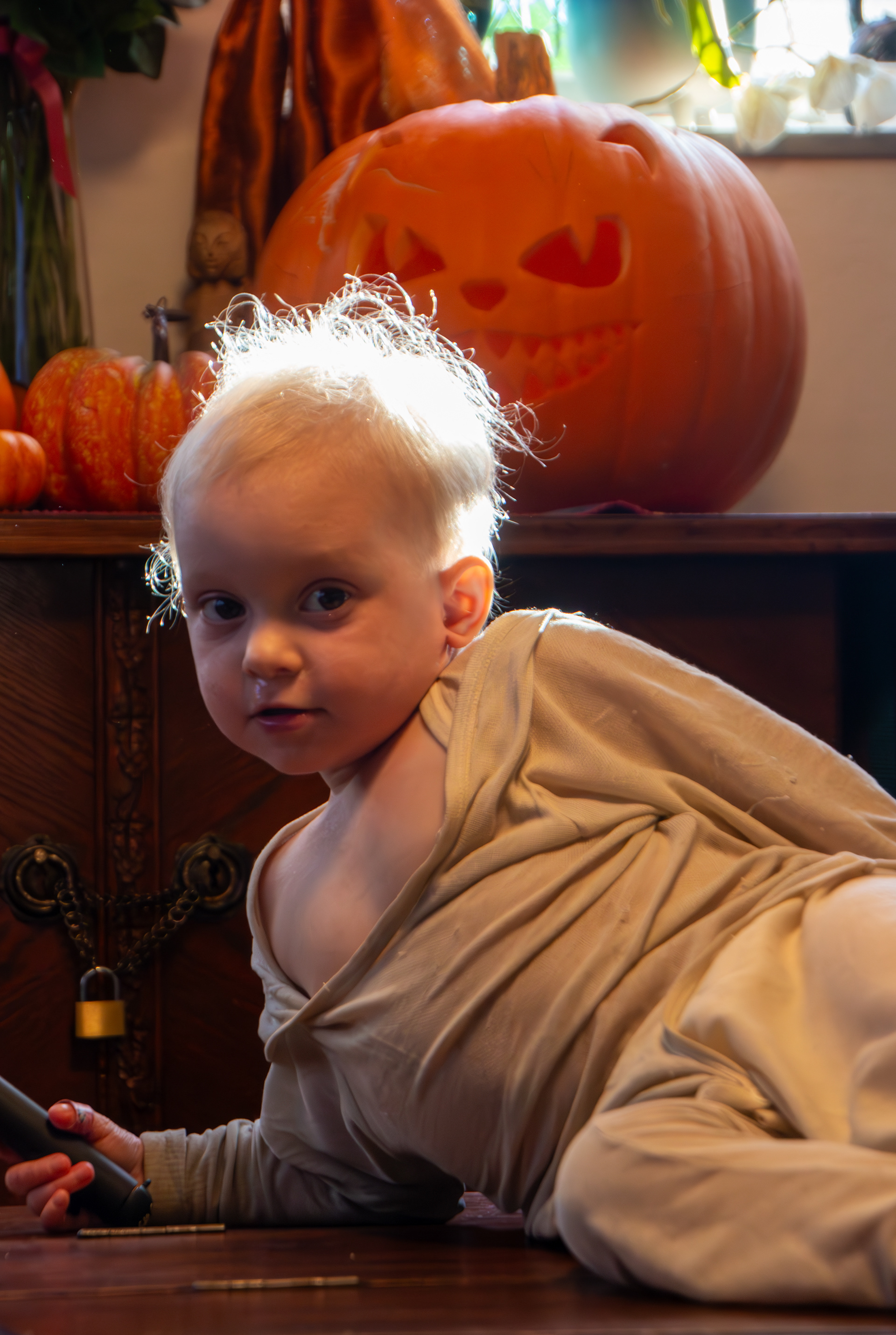 Halloween 2023 - Wynja