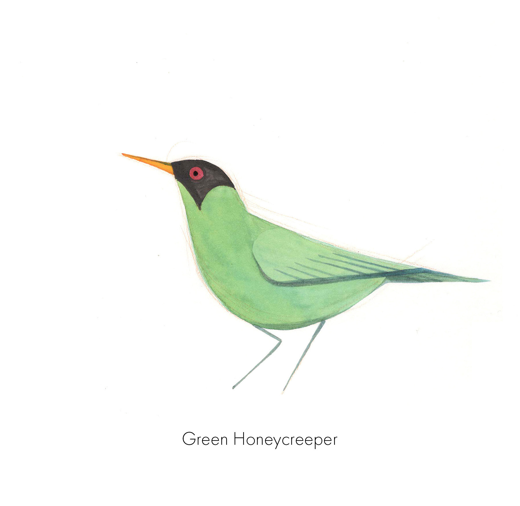 Birbfest, ink and pencils