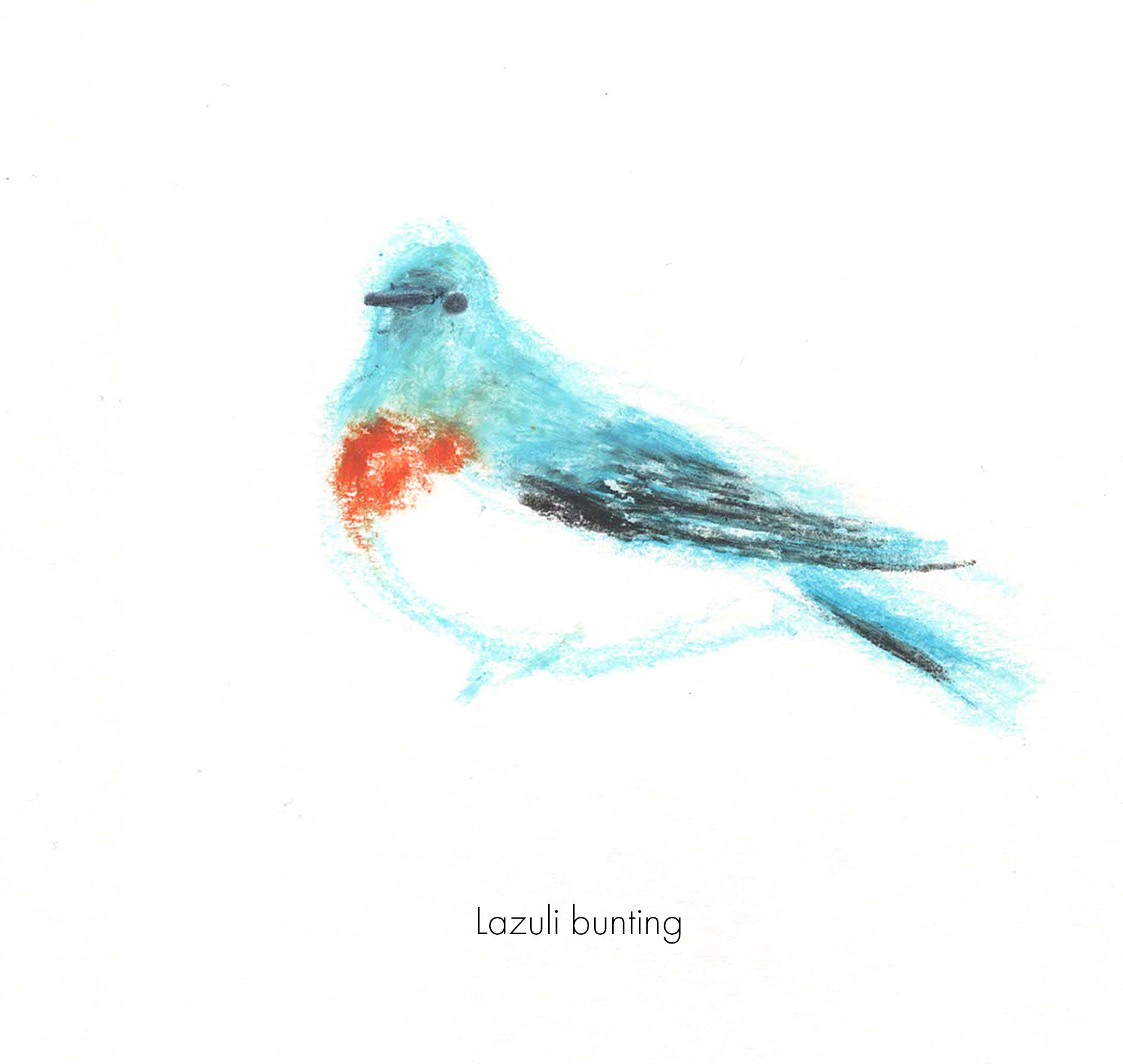 Birbfest, pencils and pastel