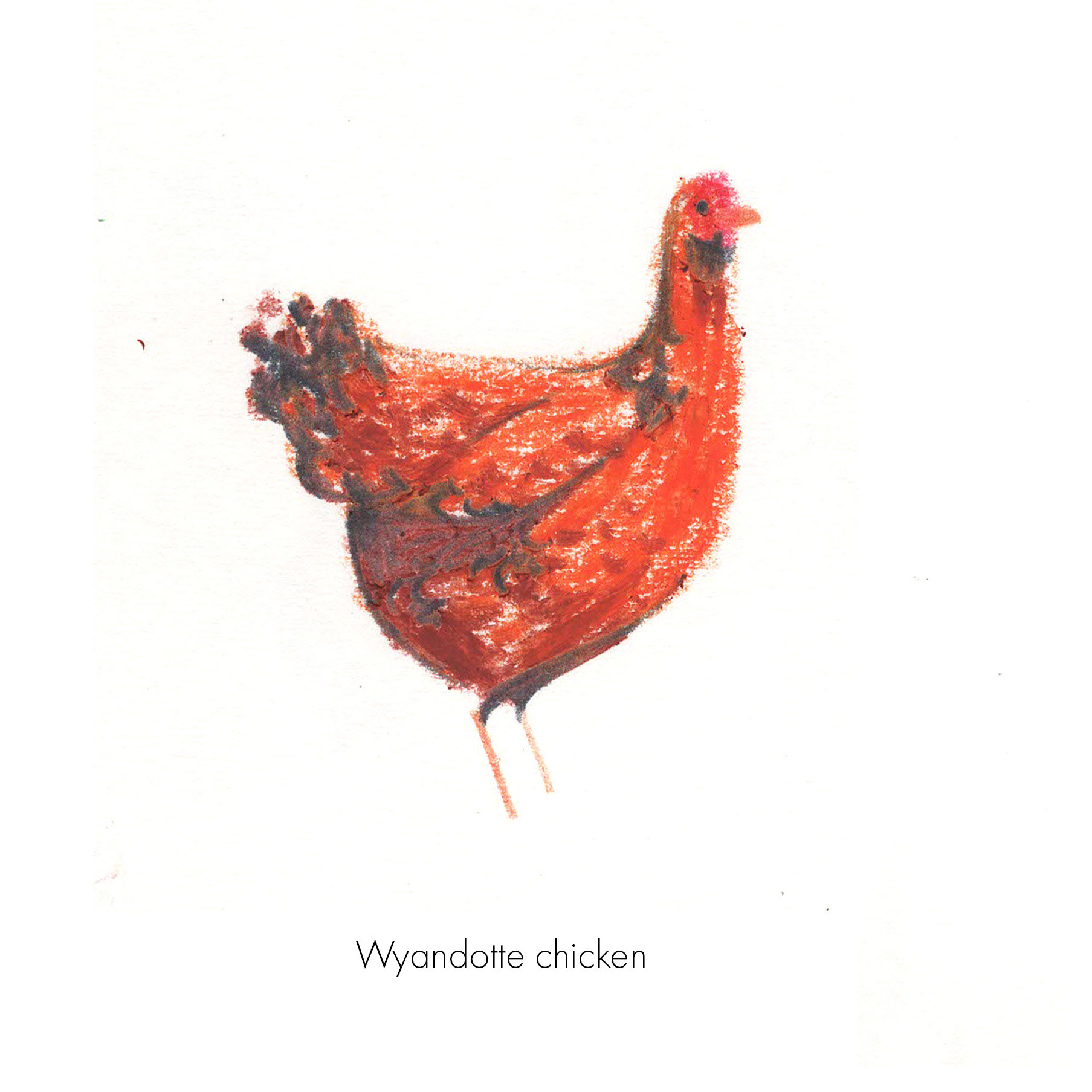 Birbfest, pencils and pastel