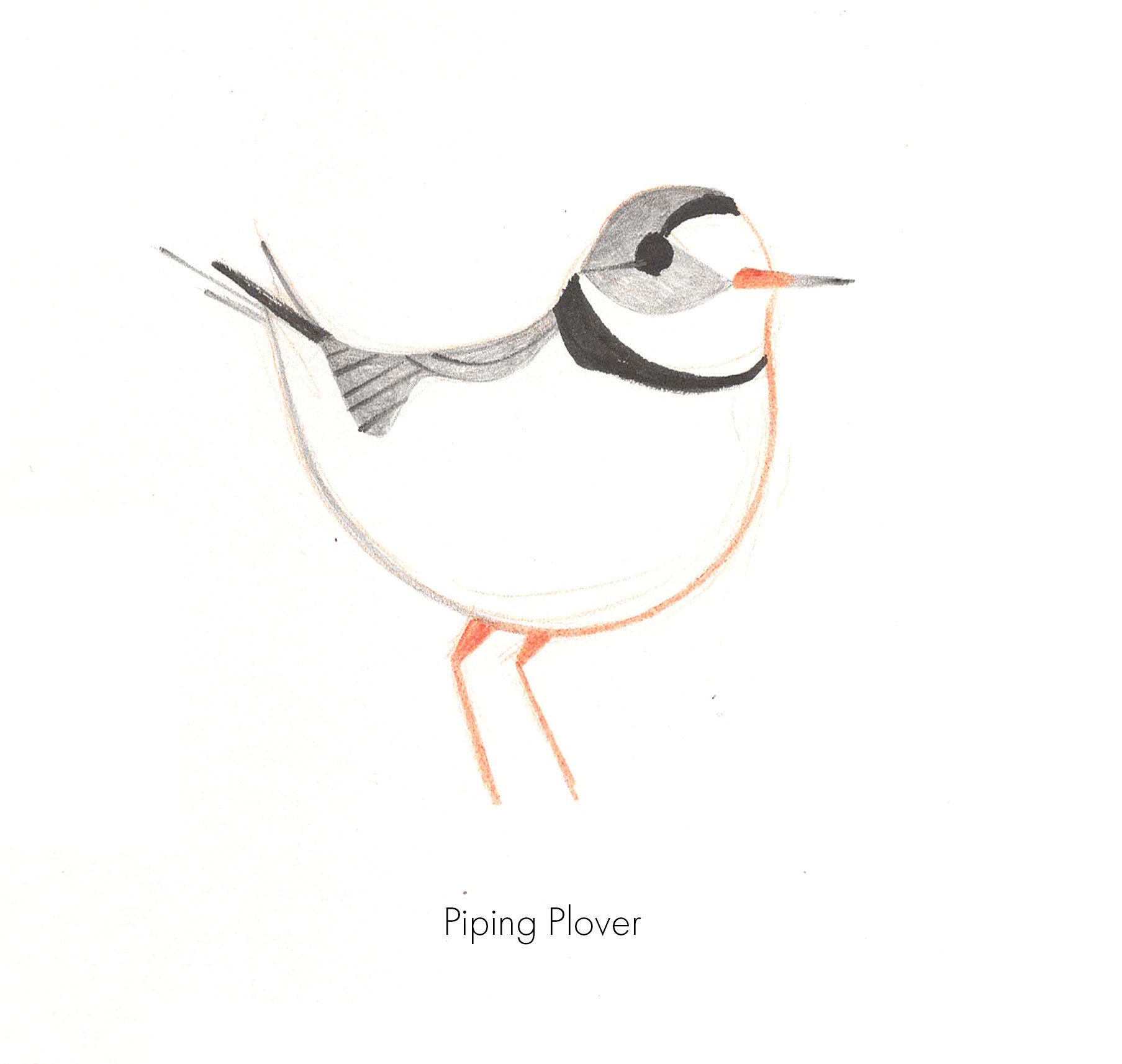 Birbfest, ink and pencils