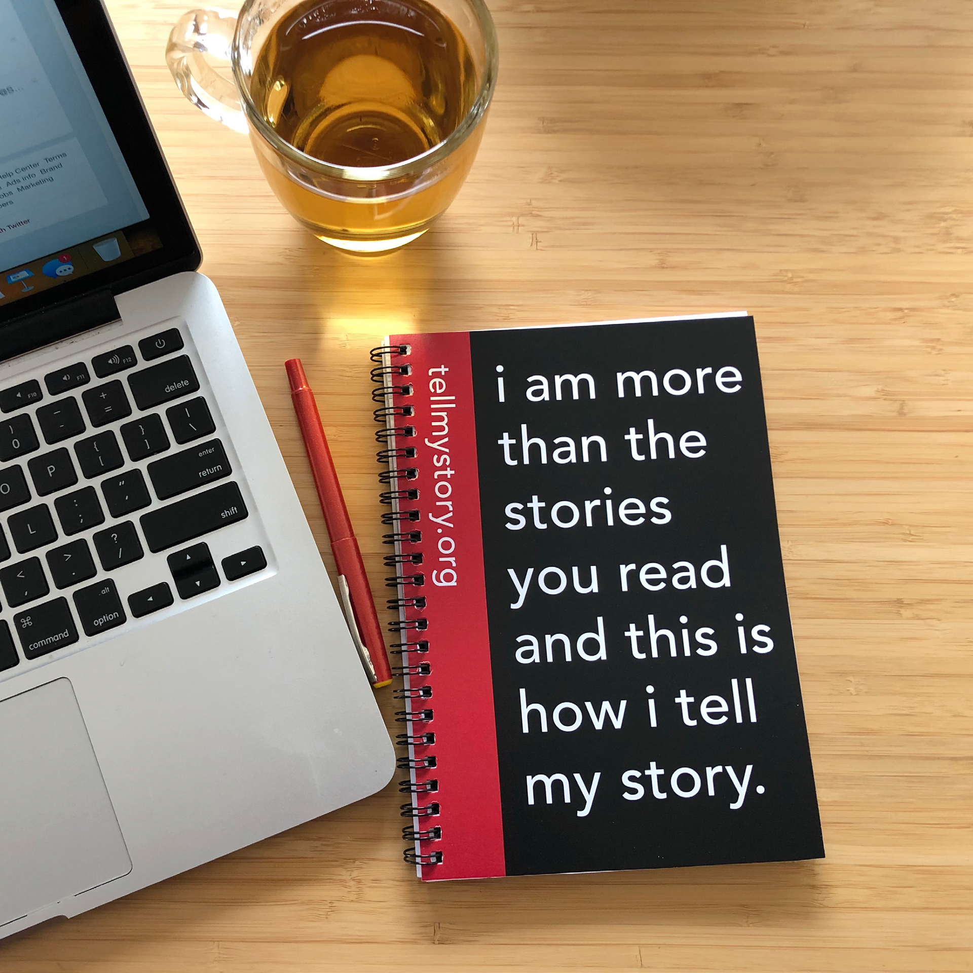With a storytelling campaign, notebooks were another obvious merchandise choice. These notebooks are offered with ruled, graph or blank pages.