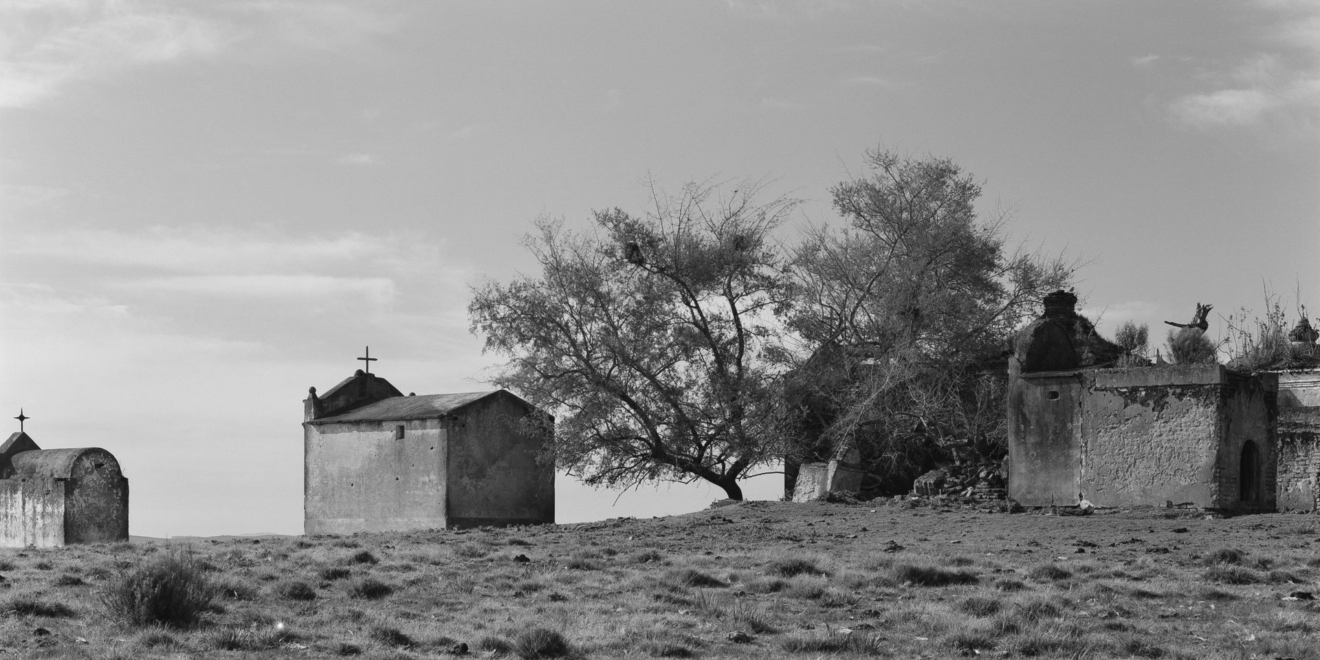 Cemiterio de Campanha, Acegua, 2006. 18 e 19/09/2006. Cemiterio a 100 metros da fronteira Brasil / Uruguay, municipio de Acegua, Rio Grande do sul, Brasil. Fotografia em filme 120 formato 6x12cm. Camera Toyo 45CF, back Calumet. Filme Fuji Acros 100. Revelacao em Kodak D76 1:1, 20graus, 10 minutos. Processadora Jobo CPE-2 Plus. Reproducao digital em 01/07/2019: Canon 5D MKII, Canon EF 100mm Macro IS USM L. Omega D5 cabeca cor, invertido. Fotografia: Eduardo Aigner