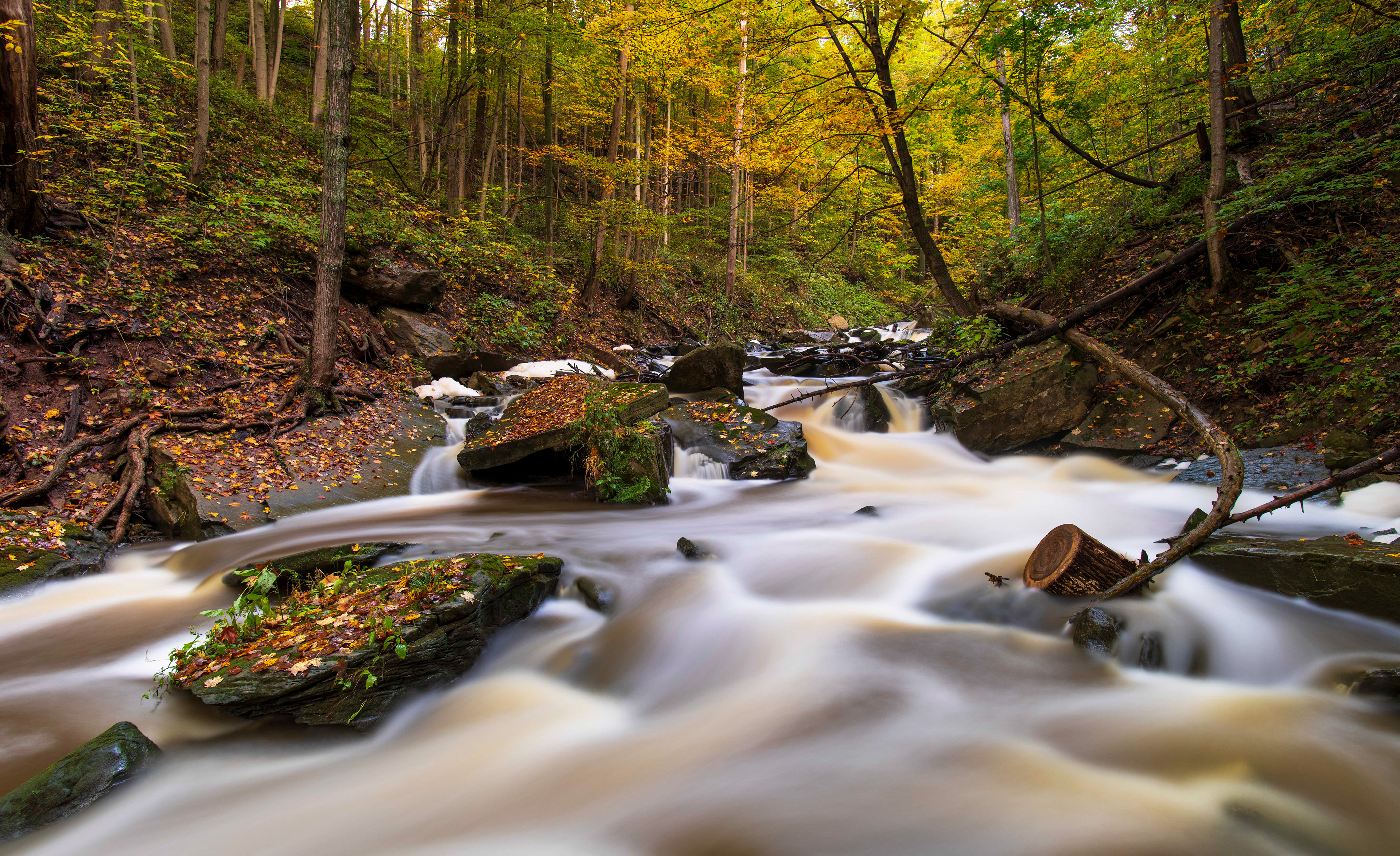 Smoky Hollow Waterfall - Waterdown